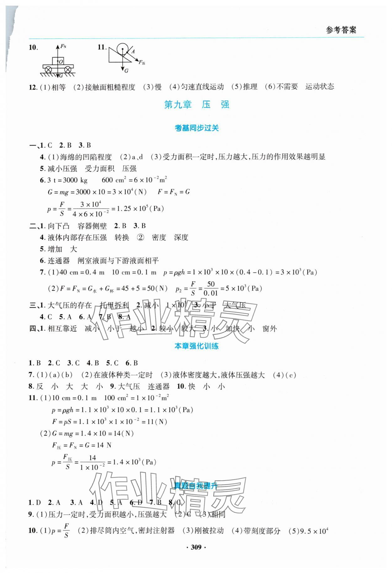 2024年初中畢業(yè)升學(xué)復(fù)習(xí)指導(dǎo)物理 參考答案第8頁