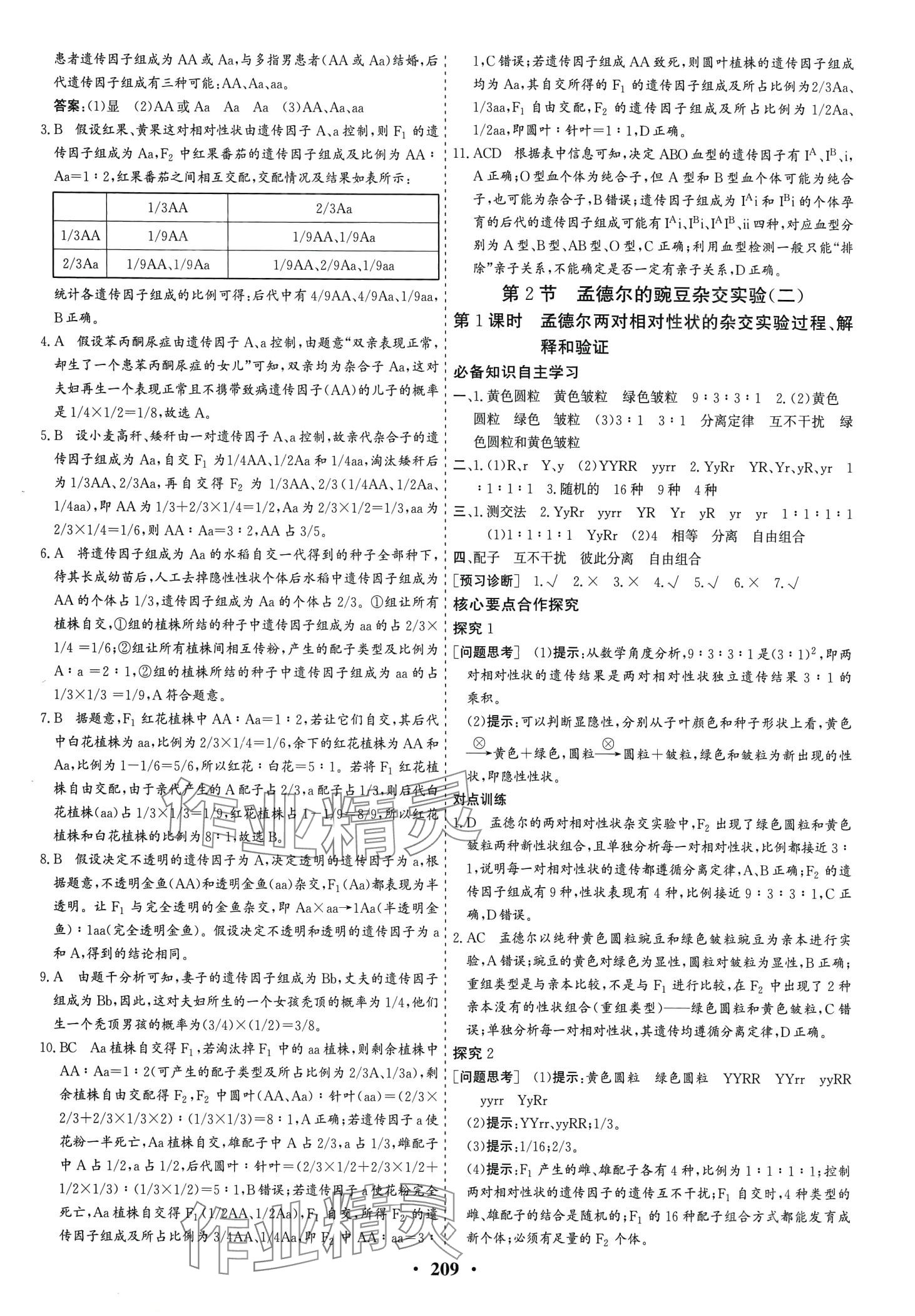 2024年優(yōu)化探究同步導學案高中生物必修2人教版 第3頁