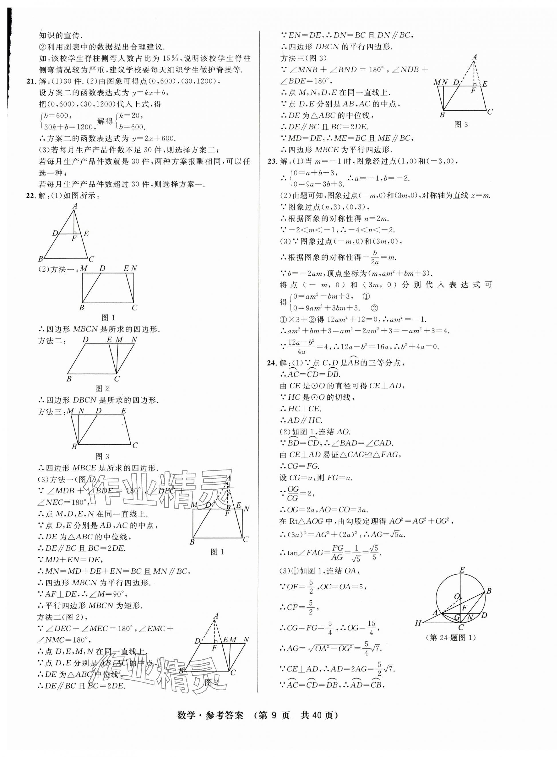 2024年3年中考试卷汇编中考考什么数学 第9页