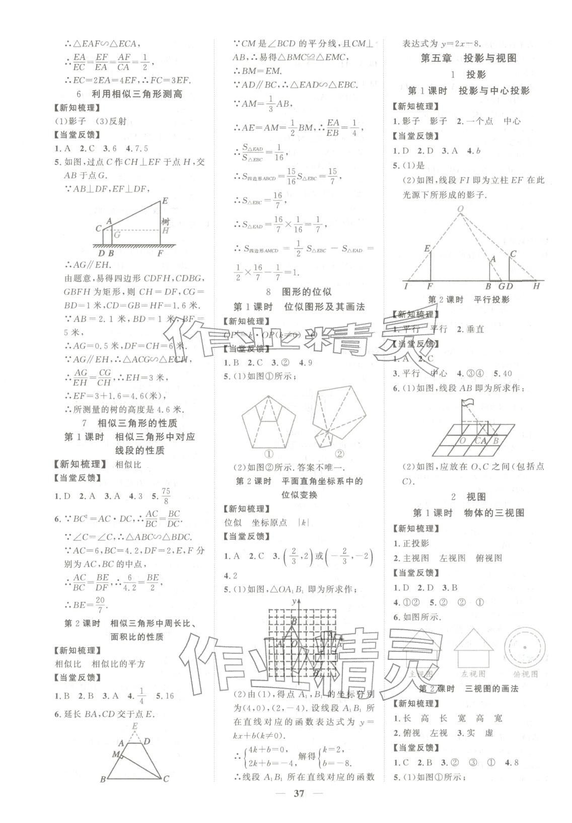 2025年本土教辅名校学案初中生辅导九年级数学上册北师大版 第5页