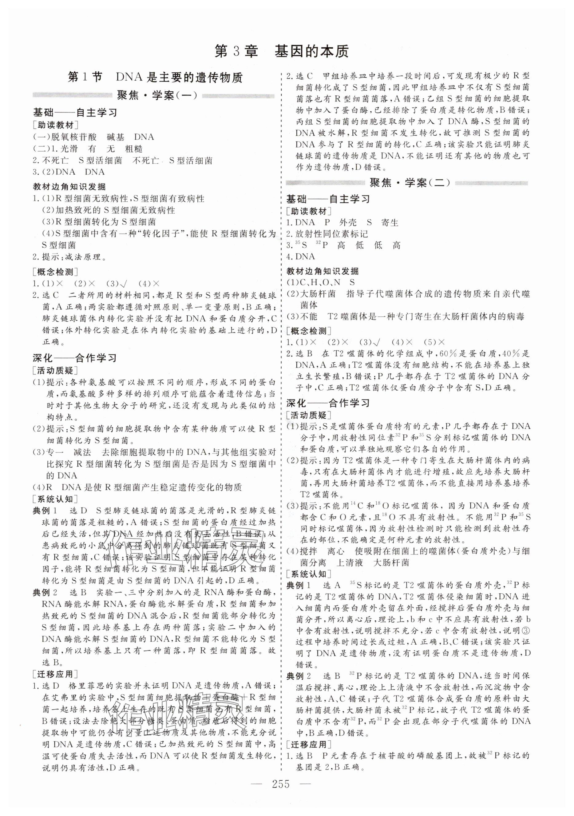 2024年新課程學案高中同步導學高中生物必修2人教版 參考答案第15頁