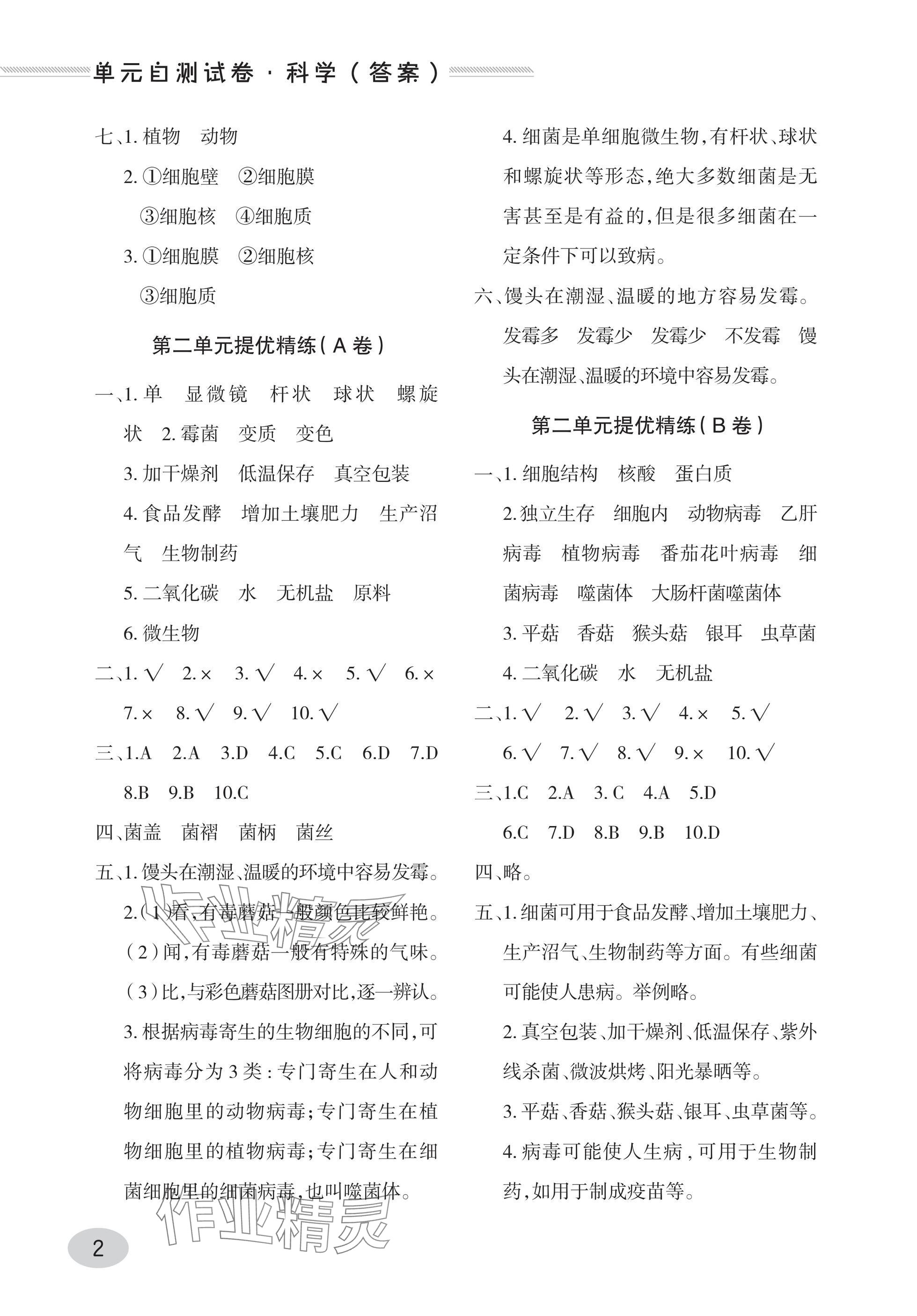 2025年同步练习册青岛出版社六年级科学上册青岛版 参考答案第2页