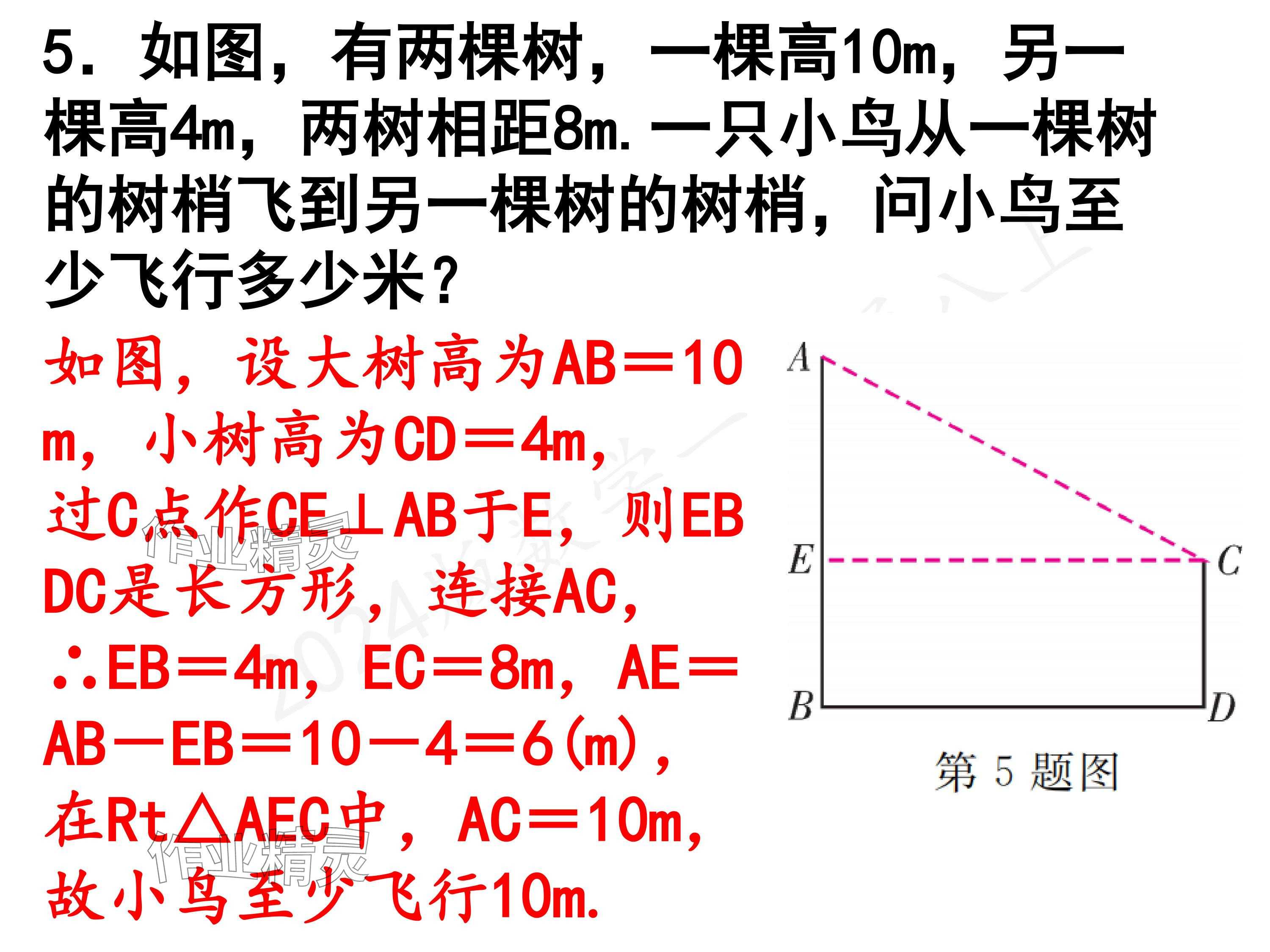 2024年一本通武漢出版社八年級數(shù)學(xué)上冊北師大版精簡版 參考答案第20頁