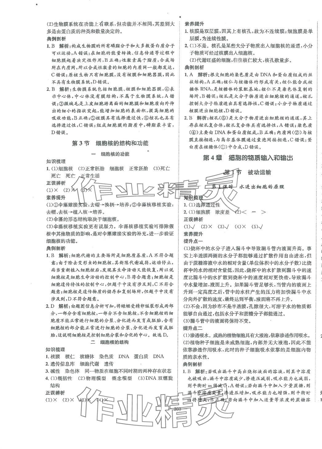 2024年石室金匮高中生物必修1人教版 第7页