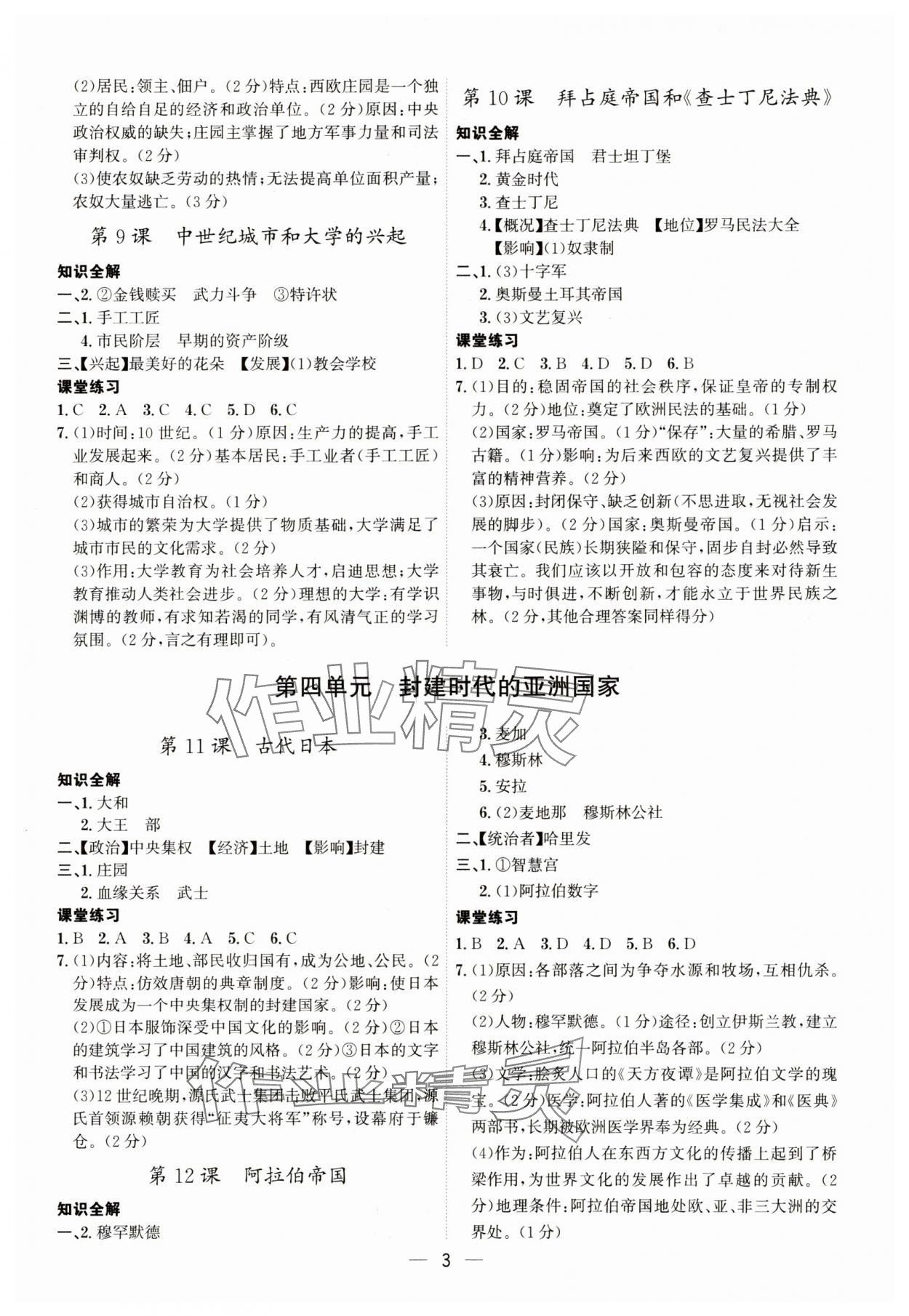 2023年考點專練九年級歷史全一冊人教版深圳專版 第3頁