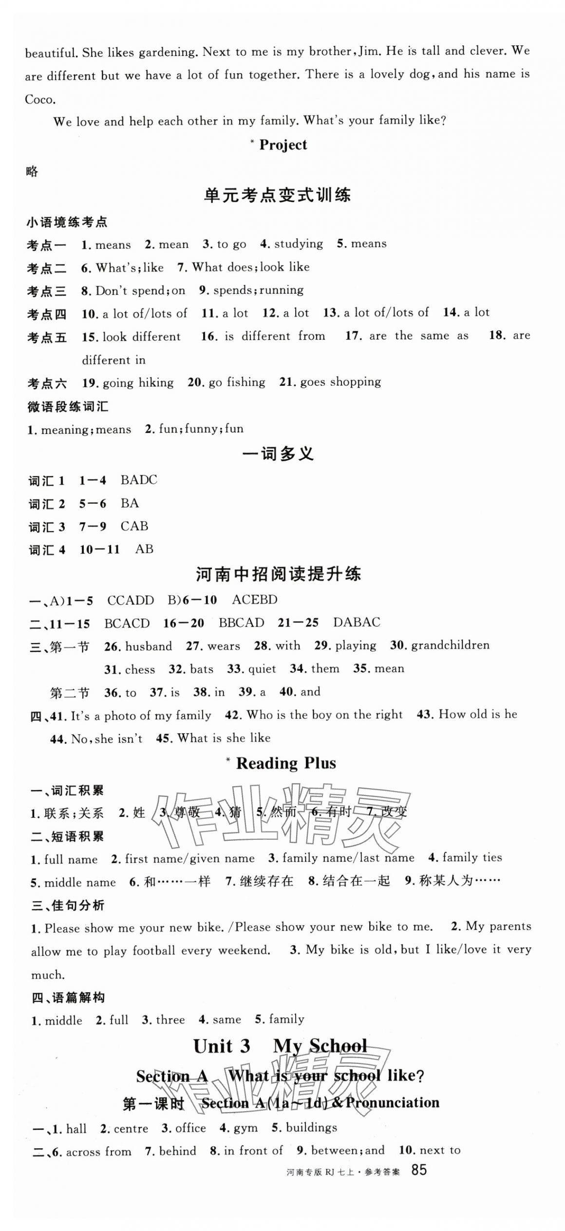 2025年名校課堂七年級(jí)英語上冊(cè)人教版3河南專版 第7頁