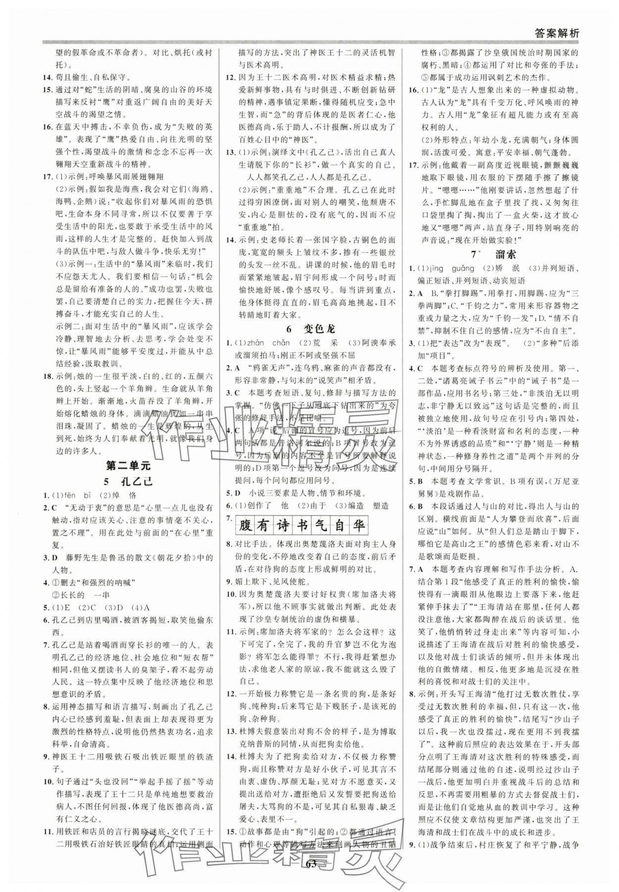 2025年世紀(jì)金榜百練百勝九年級語文下冊人教版 參考答案第2頁