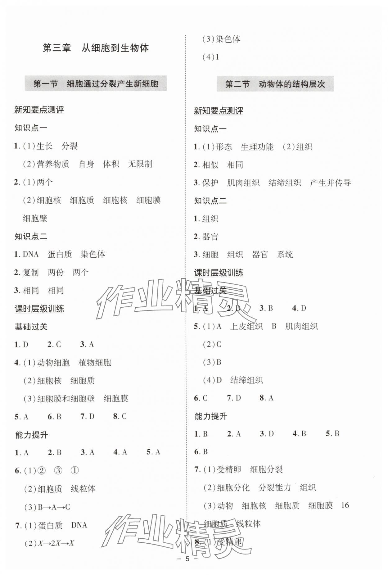 2025年新课堂学习与探究七年级生物上册人教版&nbsp;参考答案第5页