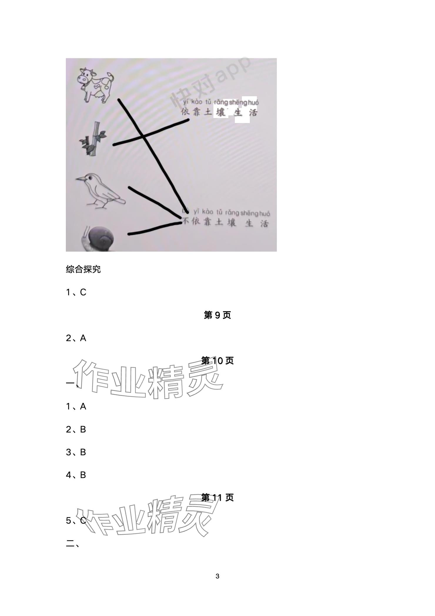 2024年學(xué)習(xí)之友二年級科學(xué)上冊教科版 參考答案第3頁