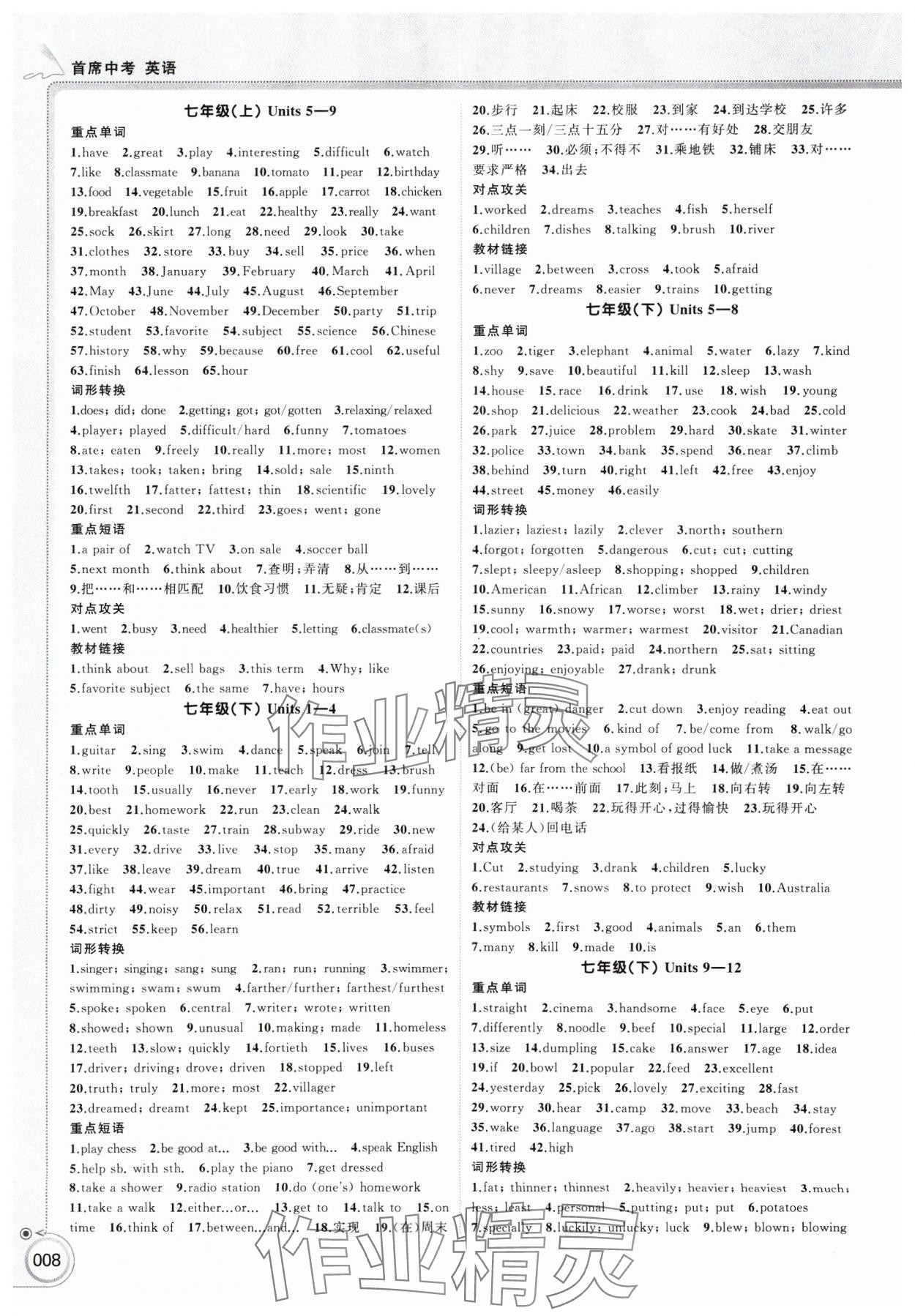 2025年首席中考英语甘肃专版&nbsp;第8页