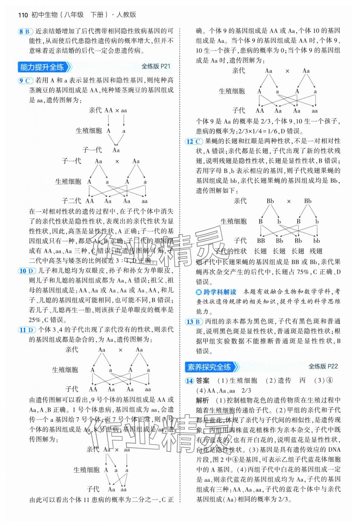 2025年5年中考3年模擬八年級生物下冊人教版 參考答案第8頁