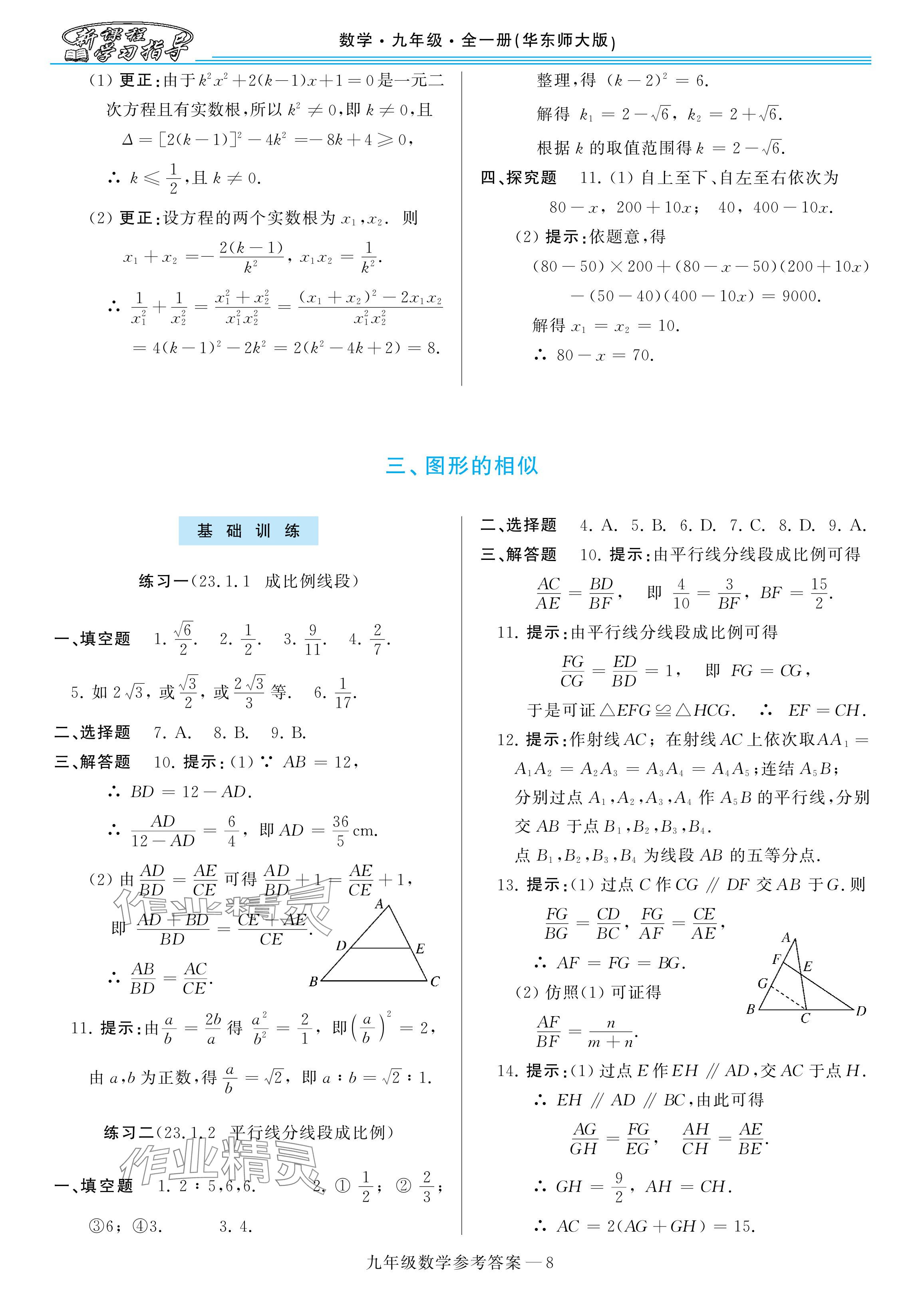 2025年新課程學(xué)習(xí)指導(dǎo)九年級數(shù)學(xué)全一冊華師大版 參考答案第8頁