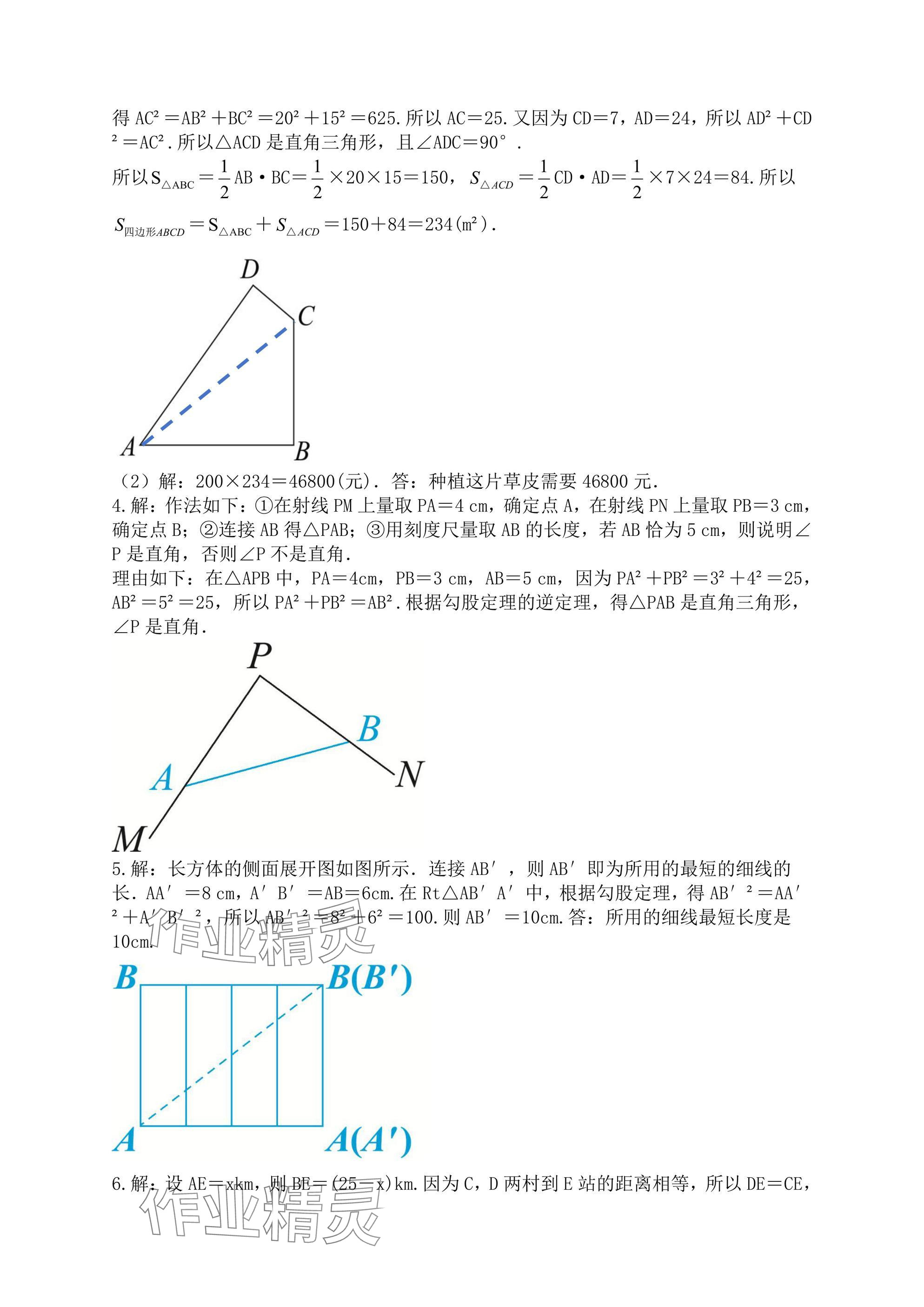 2024年陽光同學(xué)分層設(shè)計(jì)八年級數(shù)學(xué)上冊北師大版福建專版 參考答案第6頁