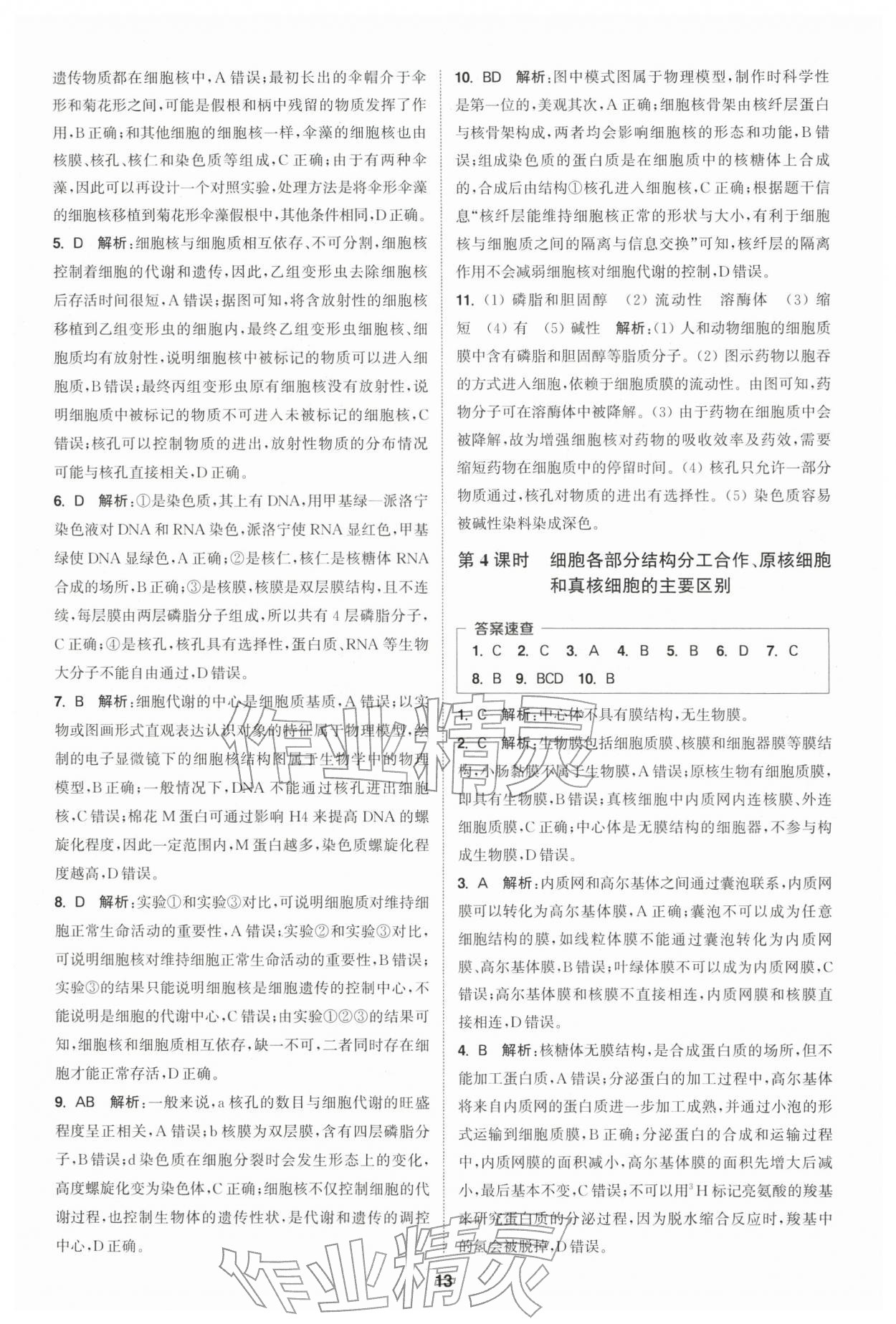 2025年通城学典课时作业本高中生物学必修1分子与细胞苏教版 第13页