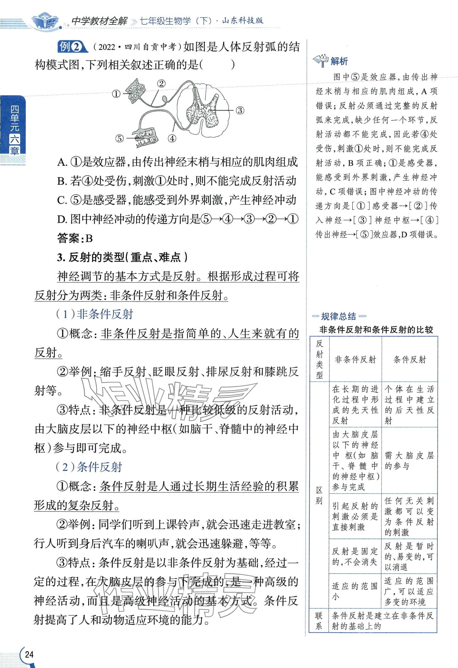 2024年教材课本七年级生物下册鲁科版&nbsp;第24页