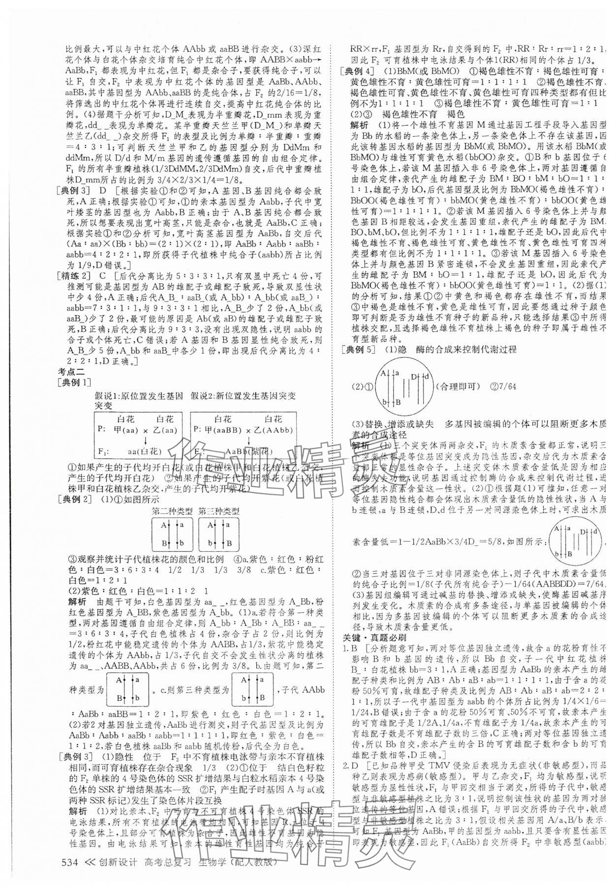 2025年創新設計高考總復習高中生物 參考答案第28頁