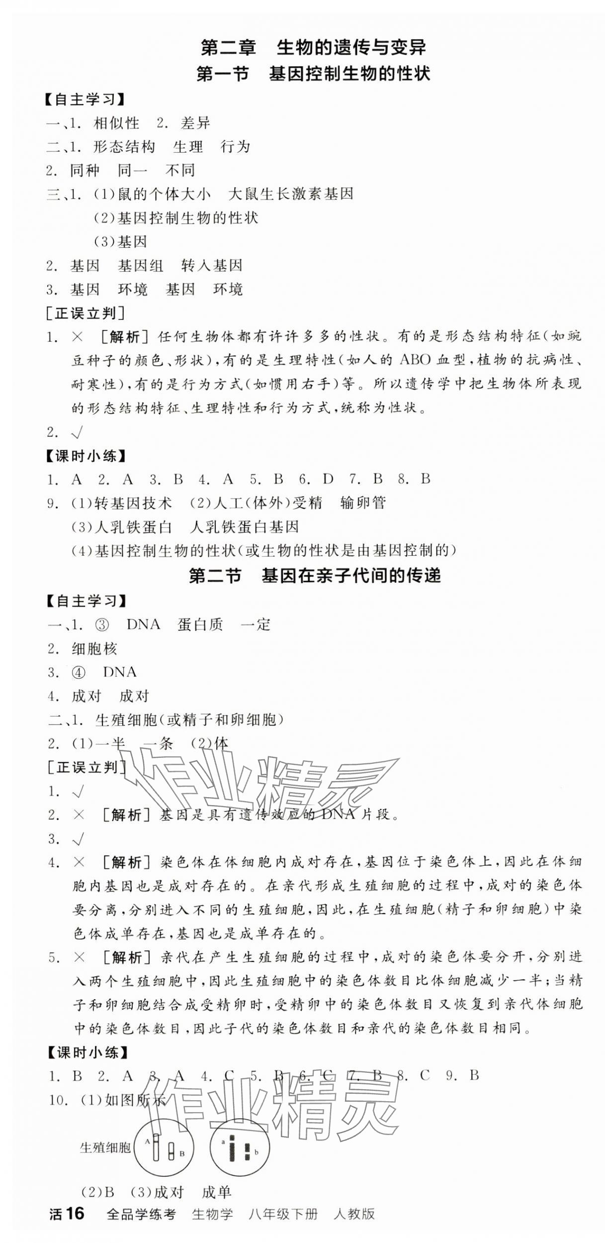 2025年全品學(xué)練考八年級生物下冊人教版 第4頁