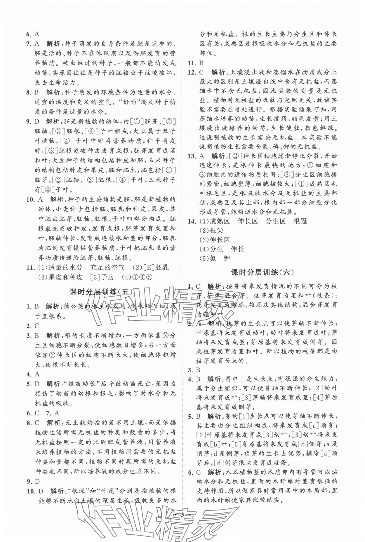 2024年初中同步练习册分层卷八年级生物学上册济南版 参考答案第3页