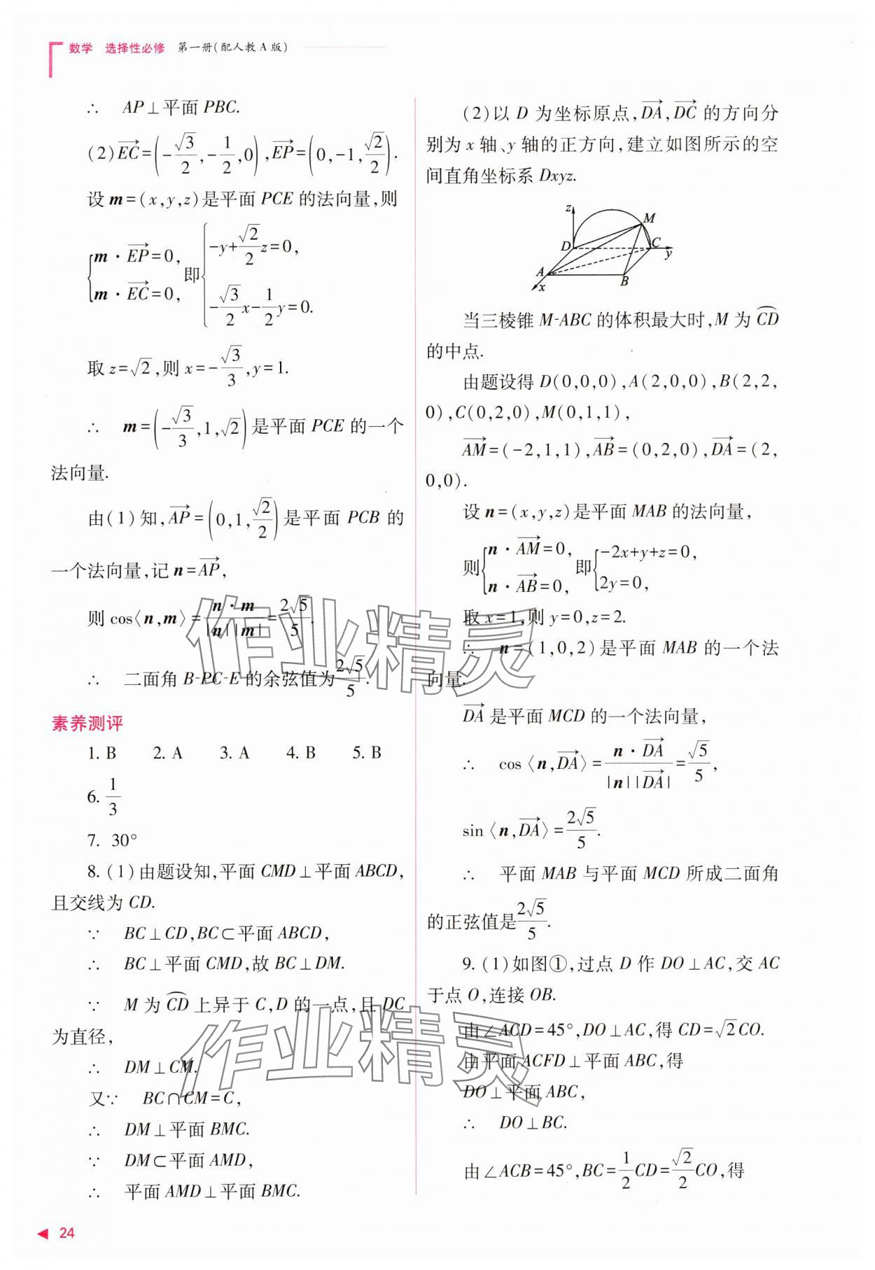 2023年普通高中新課程同步練習冊高中數(shù)學選擇性必修第一冊人教版 參考答案第24頁