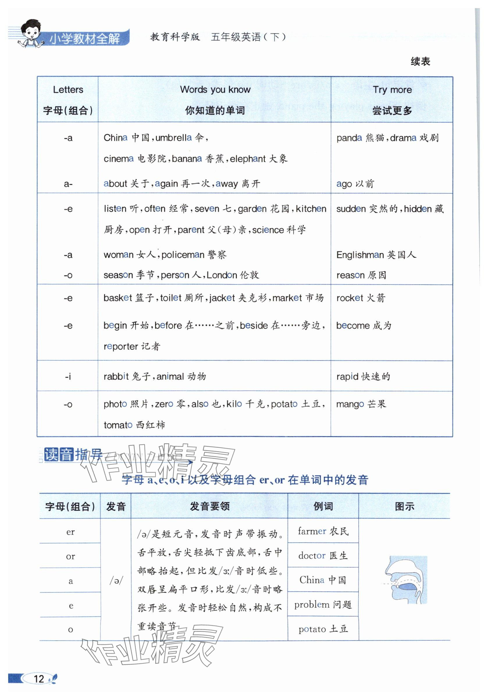 2025年教材課本五年級(jí)英語(yǔ)下冊(cè)教科版 參考答案第12頁(yè)