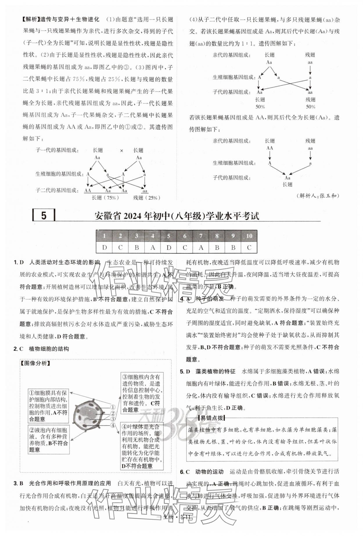 2025年天利38套新課標(biāo)全國中考試題精選生物 第11頁