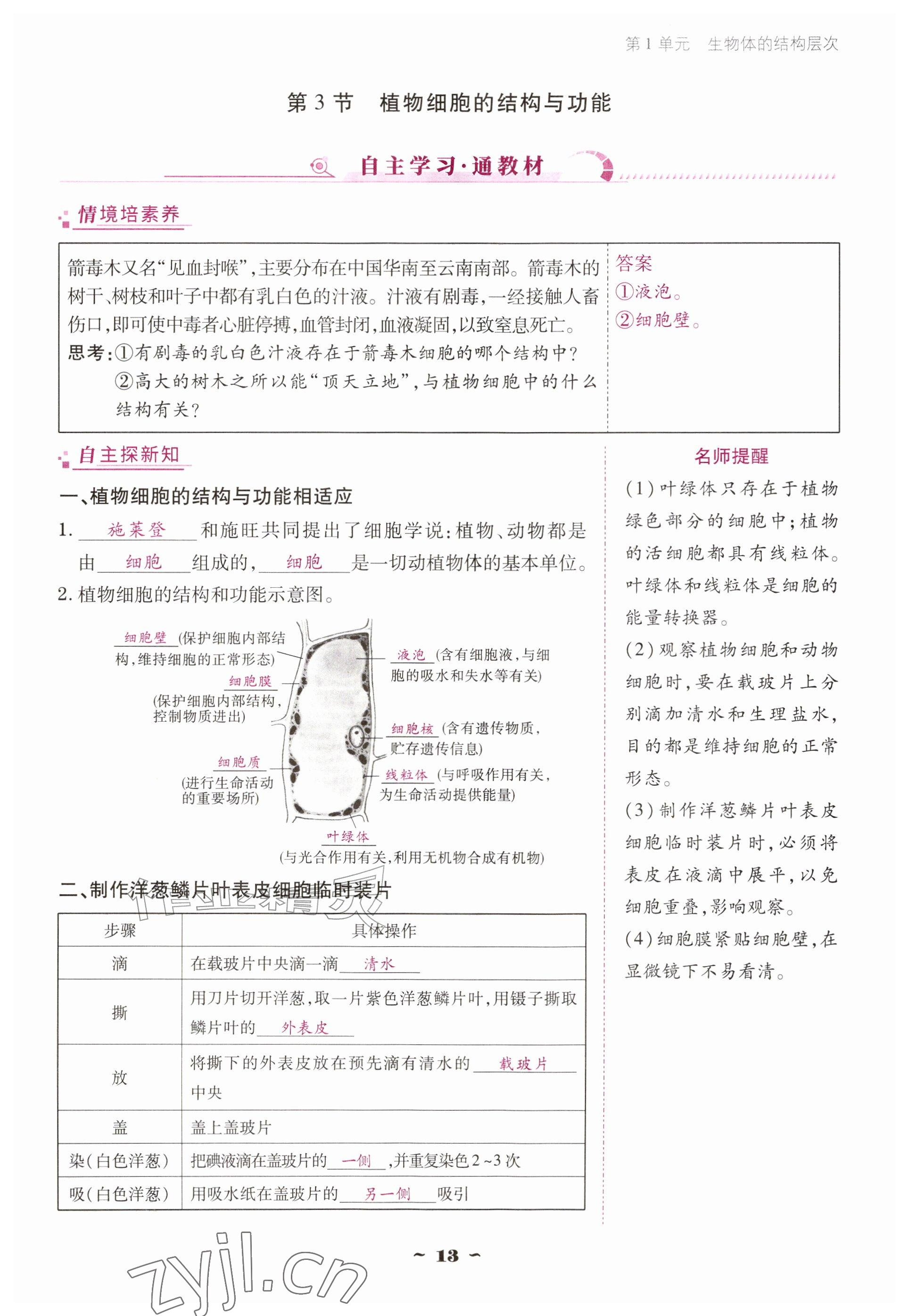 2026年云南省标准教辅优佳学案七年级历史上册人教版&nbsp;参考答案第13页