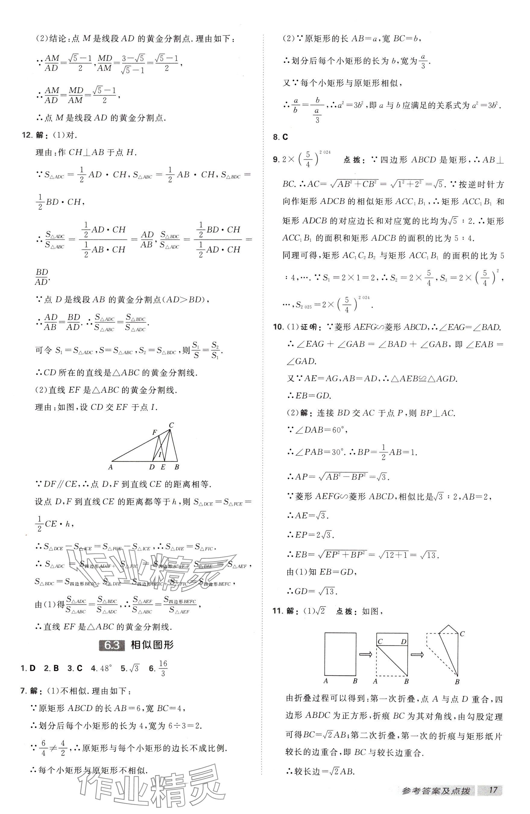 2025年點(diǎn)撥訓(xùn)練九年級(jí)數(shù)學(xué)下冊蘇科版江蘇專用 參考答案第17頁