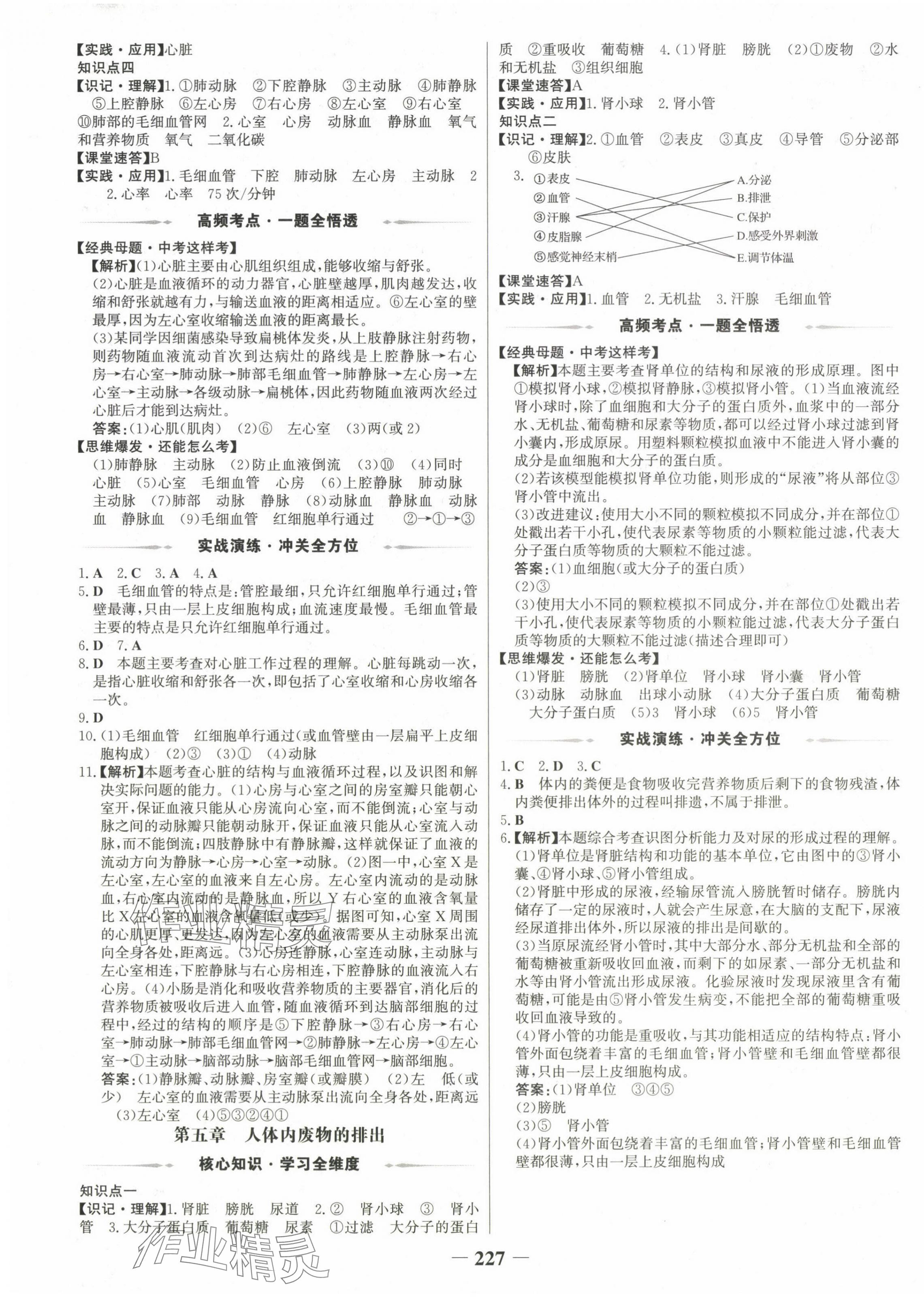 2025年世紀(jì)金榜金榜中考生物廣西專版 第7頁