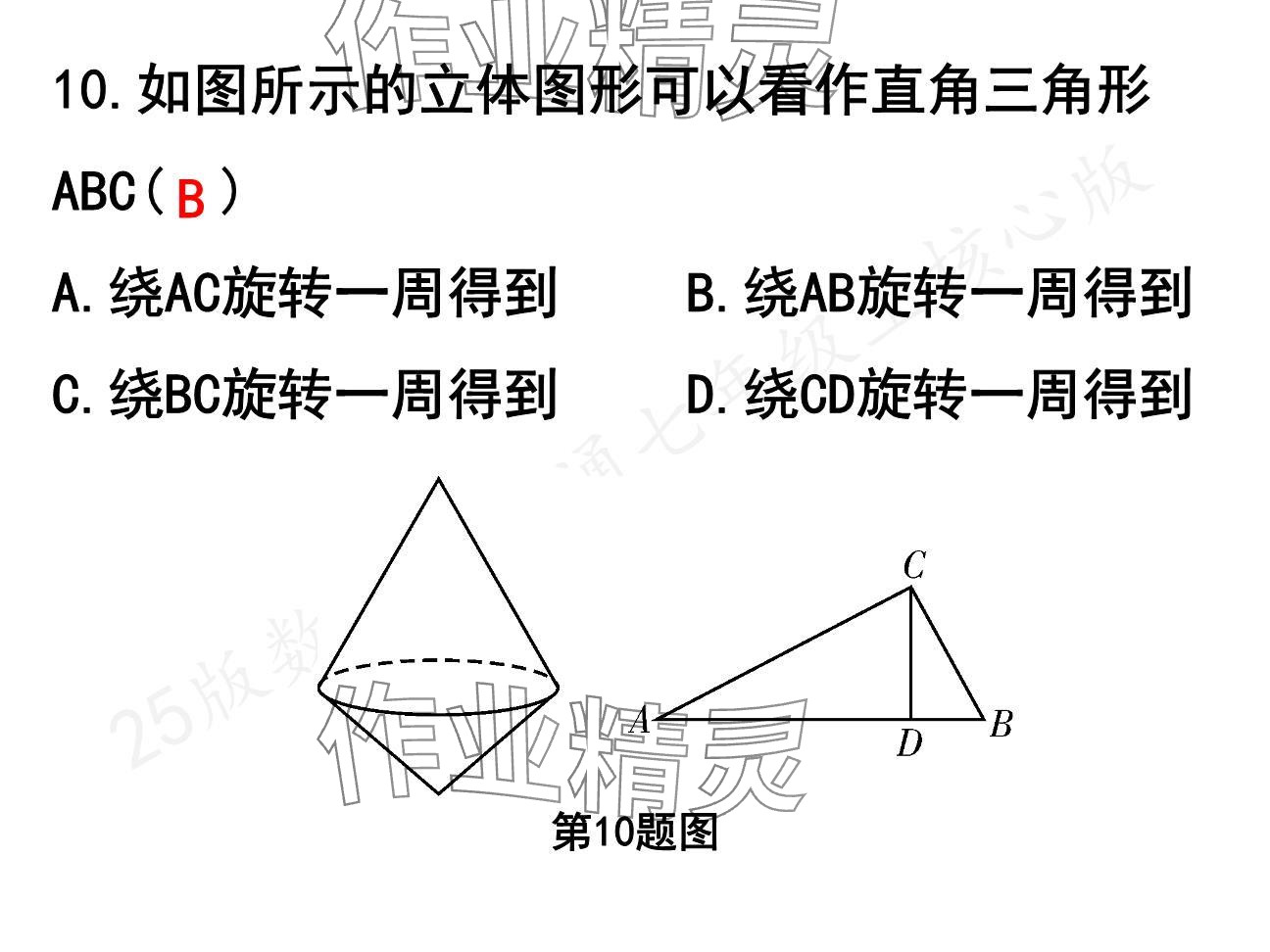 2024年一本通武漢出版社七年級(jí)數(shù)學(xué)上冊(cè)北師大版核心板 參考答案第19頁(yè)