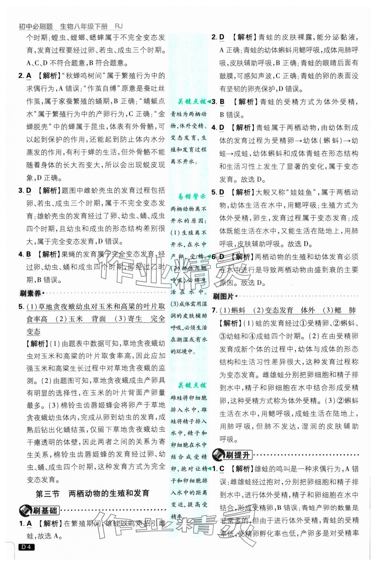 2025年初中必刷題八年級(jí)生物下冊(cè)人教版 參考答案第4頁