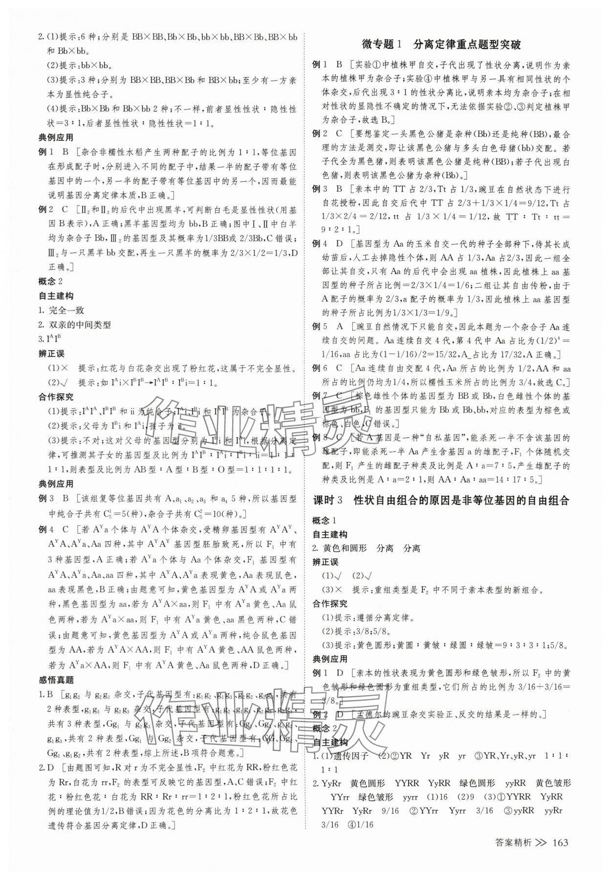 2025年創新設計高中生物必修2浙科版 第6頁