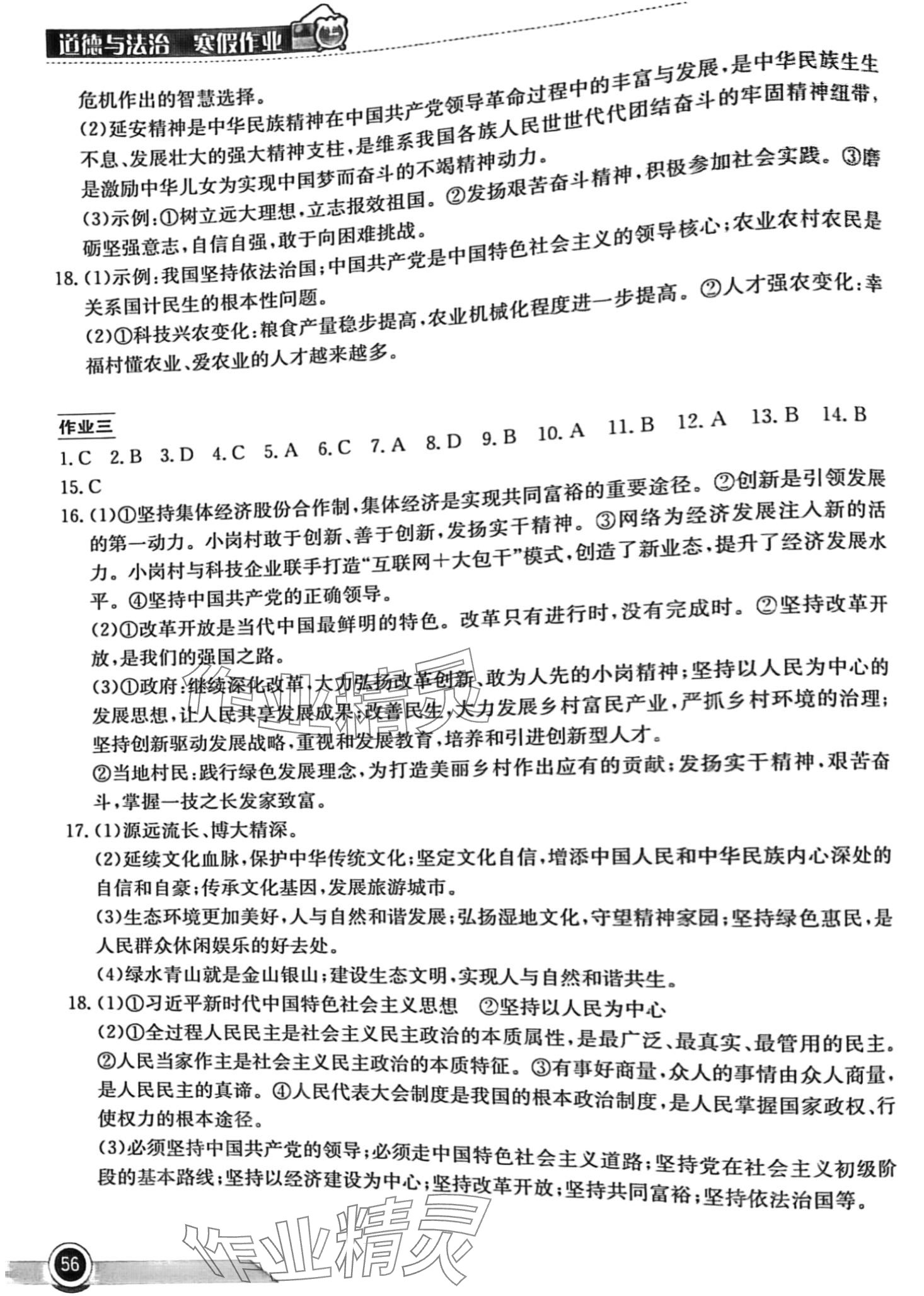 2024年長江作業(yè)本寒假作業(yè)湖北教育出版社九年級道德與法治 第2頁