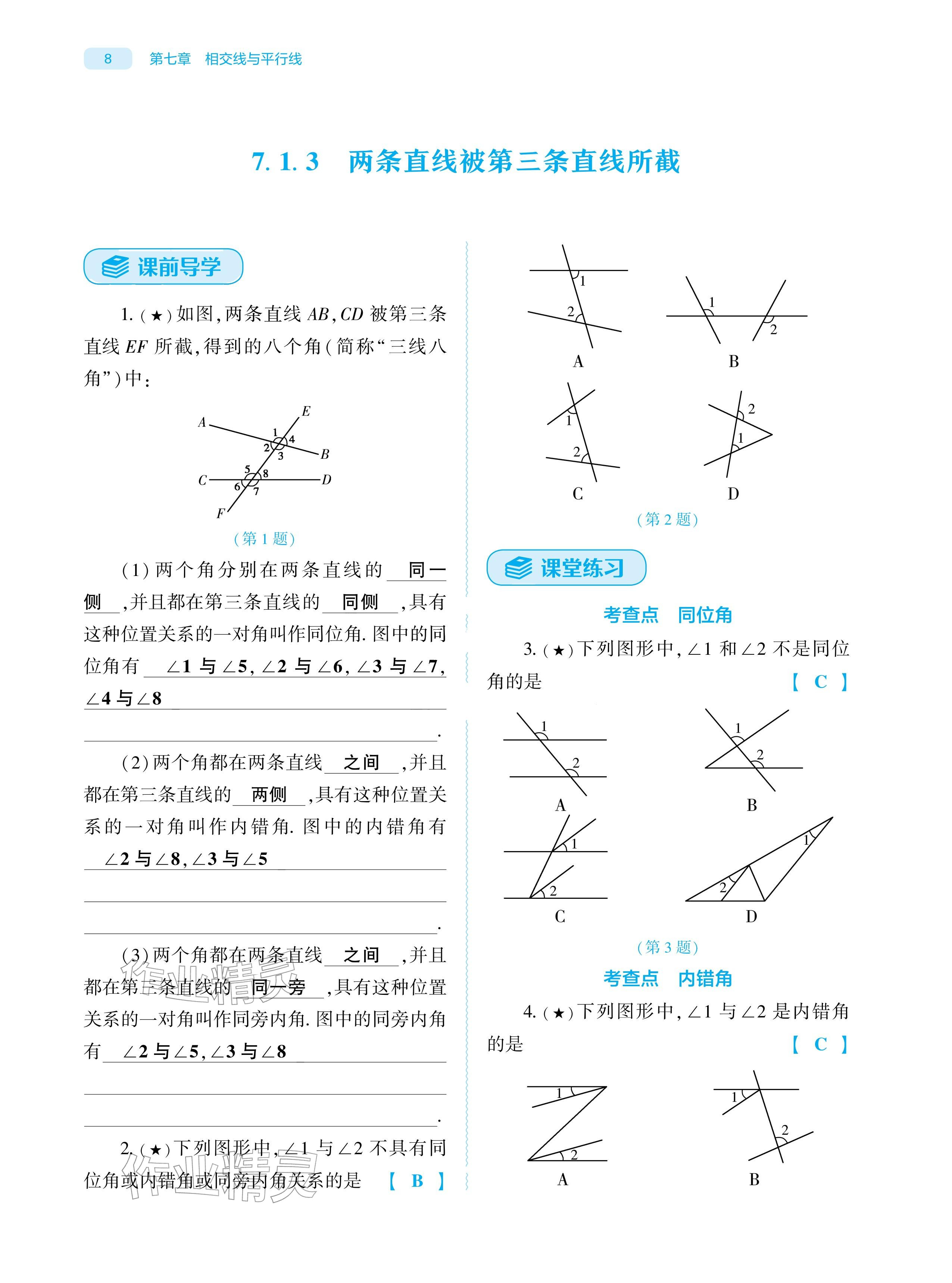2026年基础训练大象出版社七年级数学下册人教版&nbsp;参考答案第8页