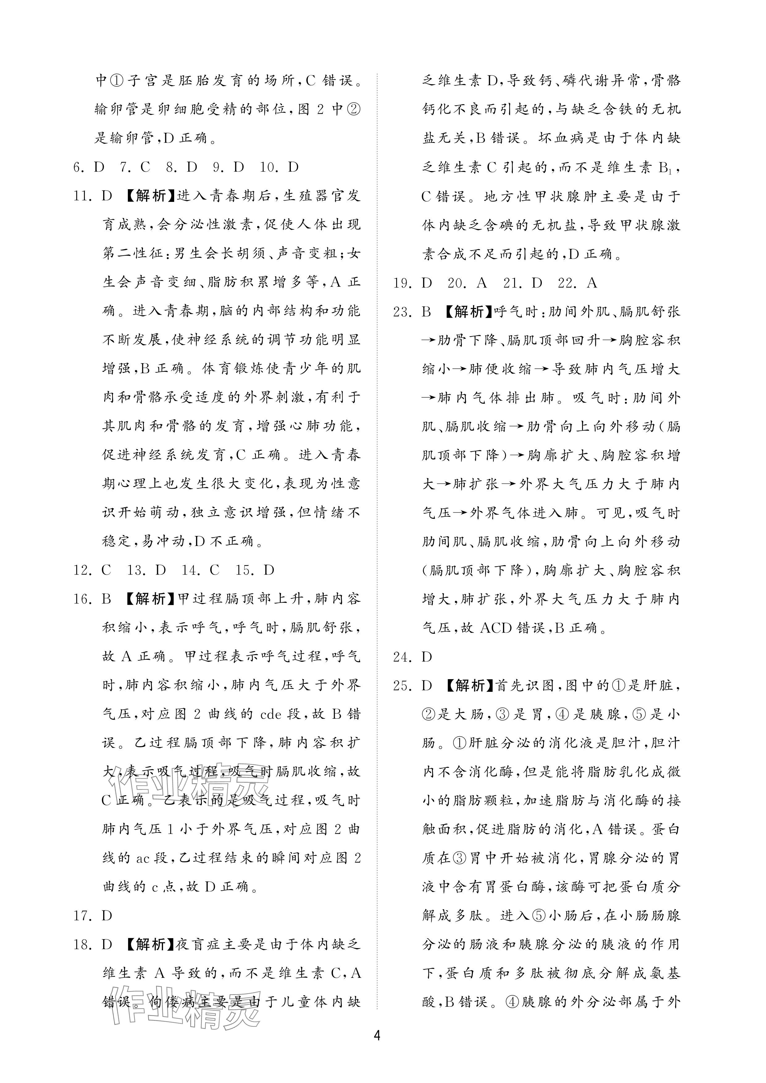 2024年同步練習(xí)冊配套檢測卷七年級生物上冊魯科版五四制 參考答案第4頁