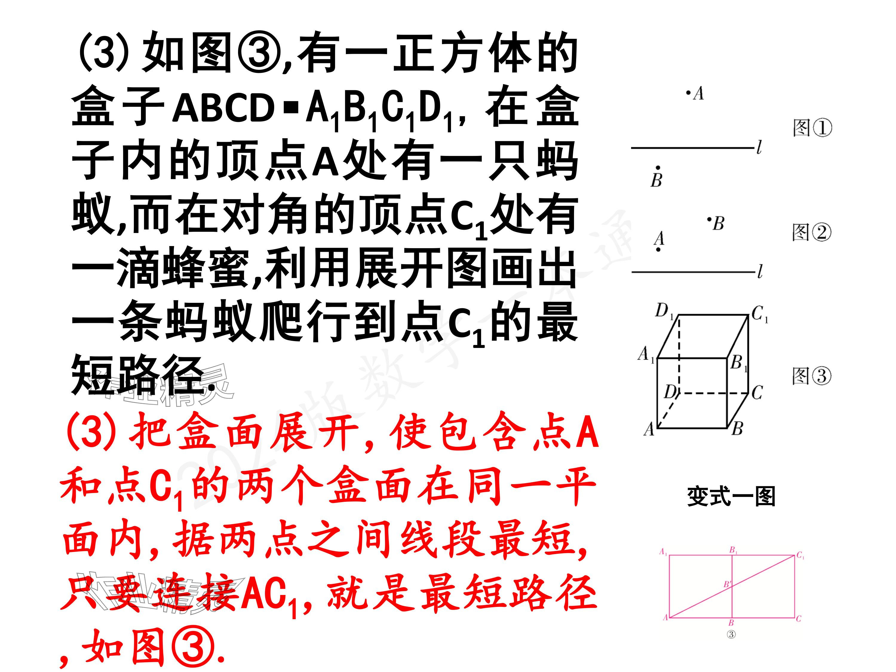 2024年一本通武漢出版社八年級(jí)數(shù)學(xué)上冊(cè)北師大版核心板 參考答案第26頁(yè)