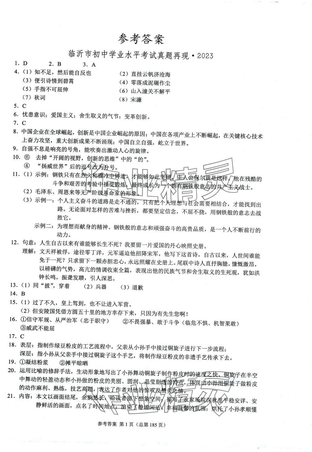 2024年中考超级模拟中考211语文中考临沂专版 第1页
