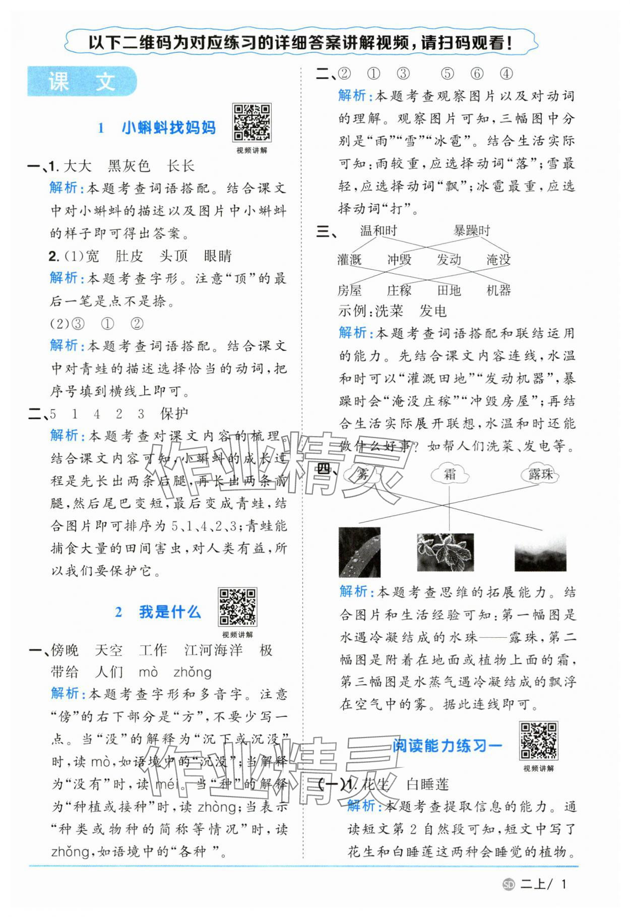 2024年阳光同学课时优化作业二年级语文上册人教版菏泽专版 参考答案第1页