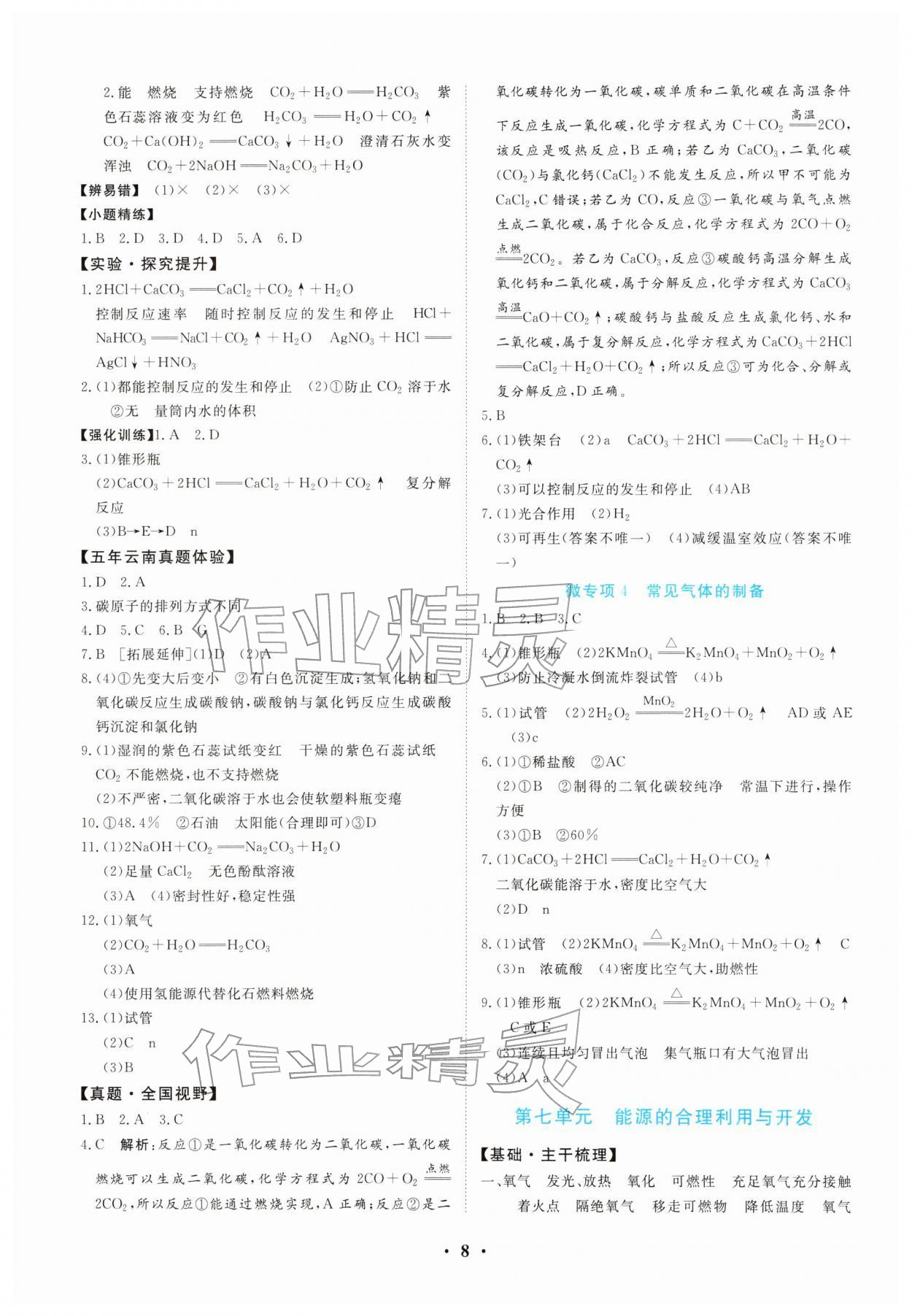2026年初中总复习一本通化学云南专版&nbsp;第8页