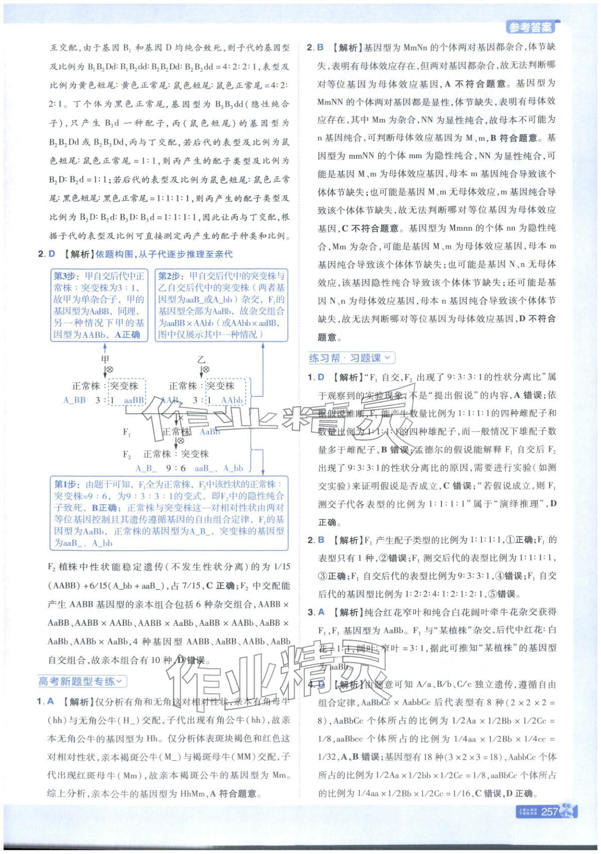 2025年教材幫高中生物必修第二冊人教版 第5頁