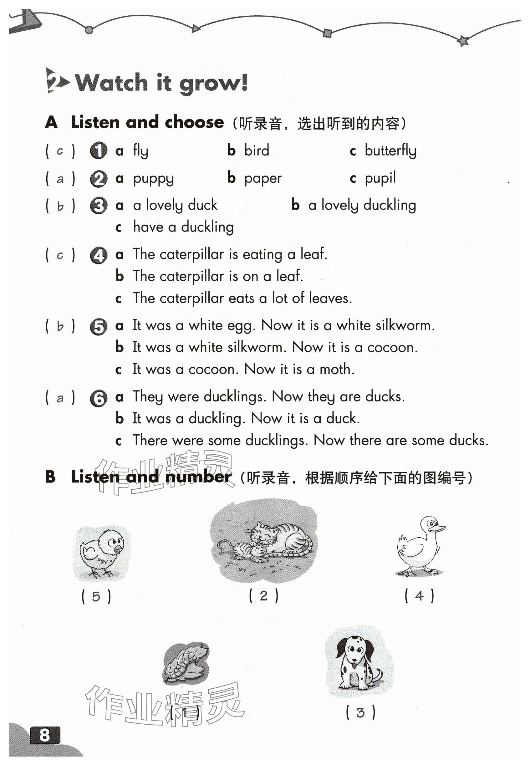 2024年練習(xí)部分五年級(jí)英語(yǔ)下冊(cè)滬教版五四制 參考答案第7頁(yè)