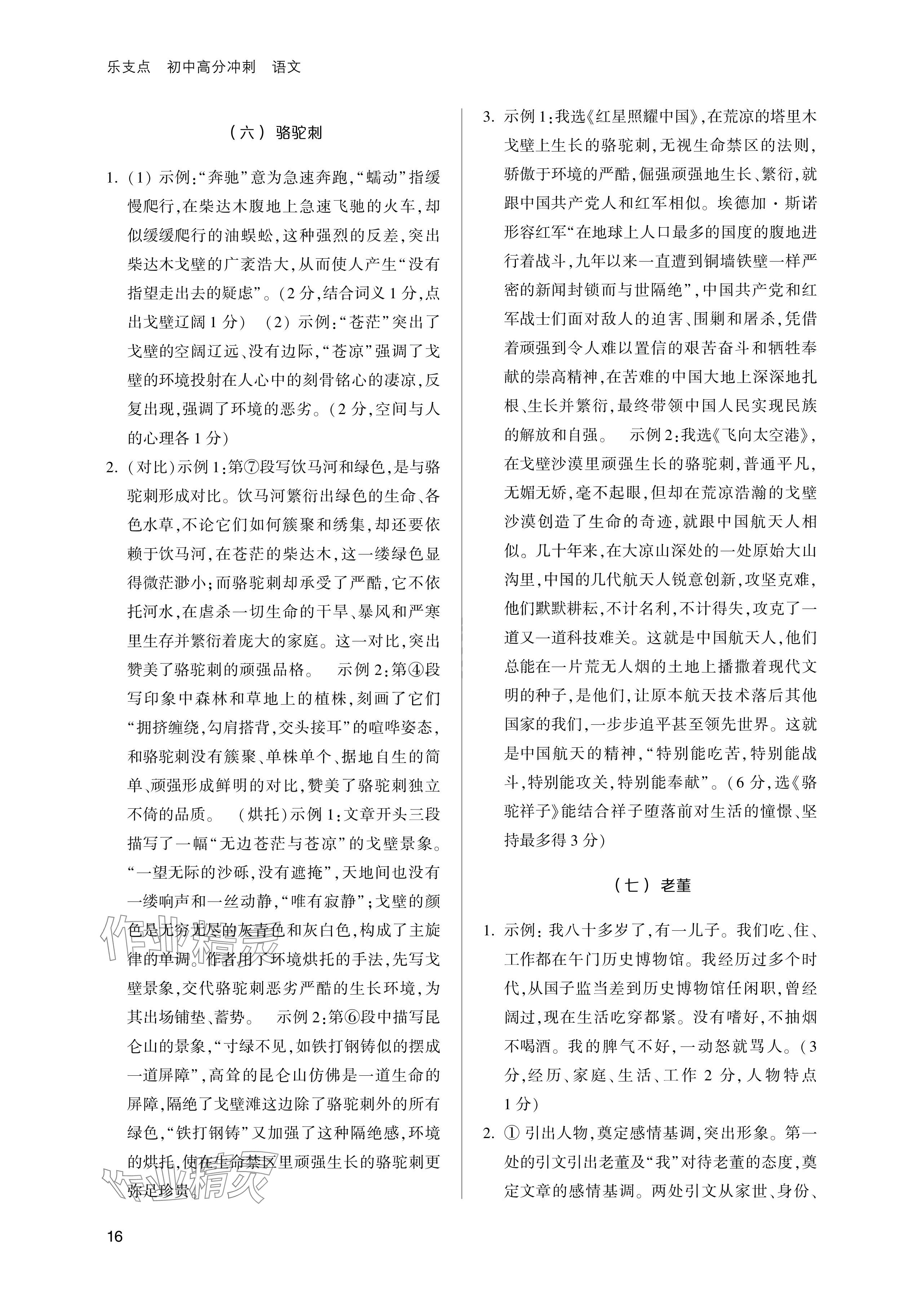 2024年樂支點(diǎn)中考高分沖刺語文&nbsp;參考答案第16頁