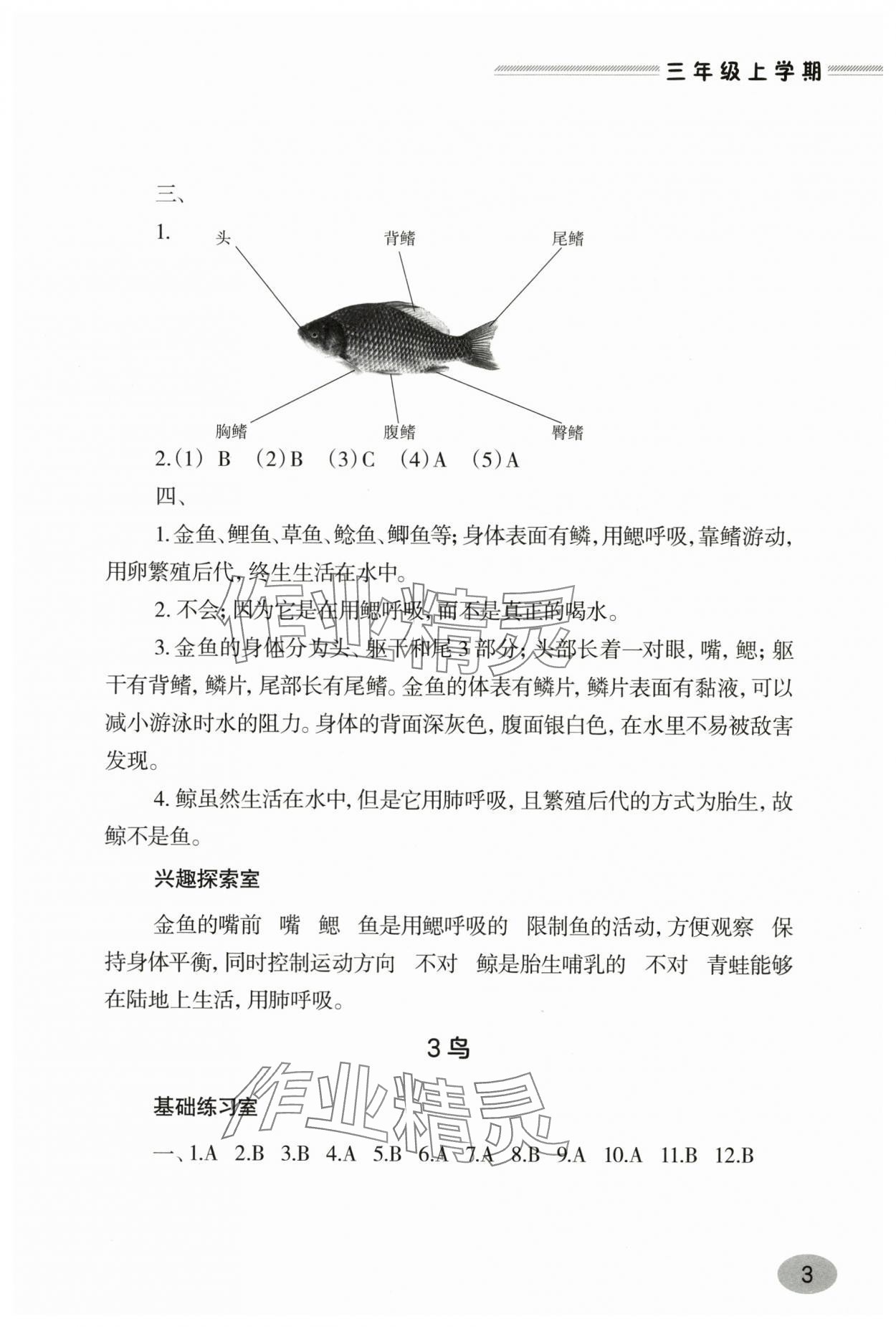 2025年新课堂学习与探究三年级科学上册青岛版&nbsp;第3页