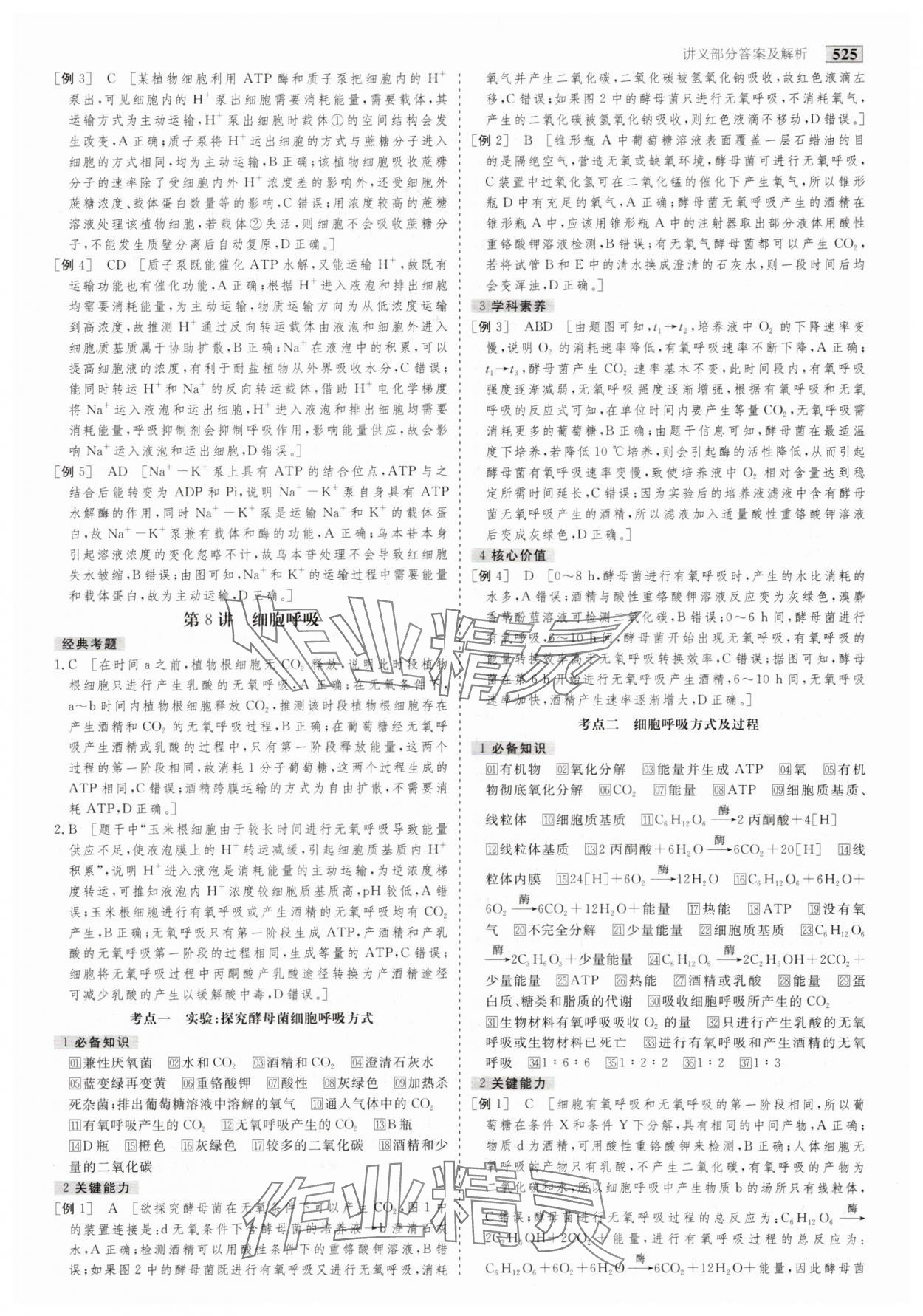 2025年金版教程高考科學(xué)復(fù)習(xí)解決方案生物創(chuàng)新版 第11頁