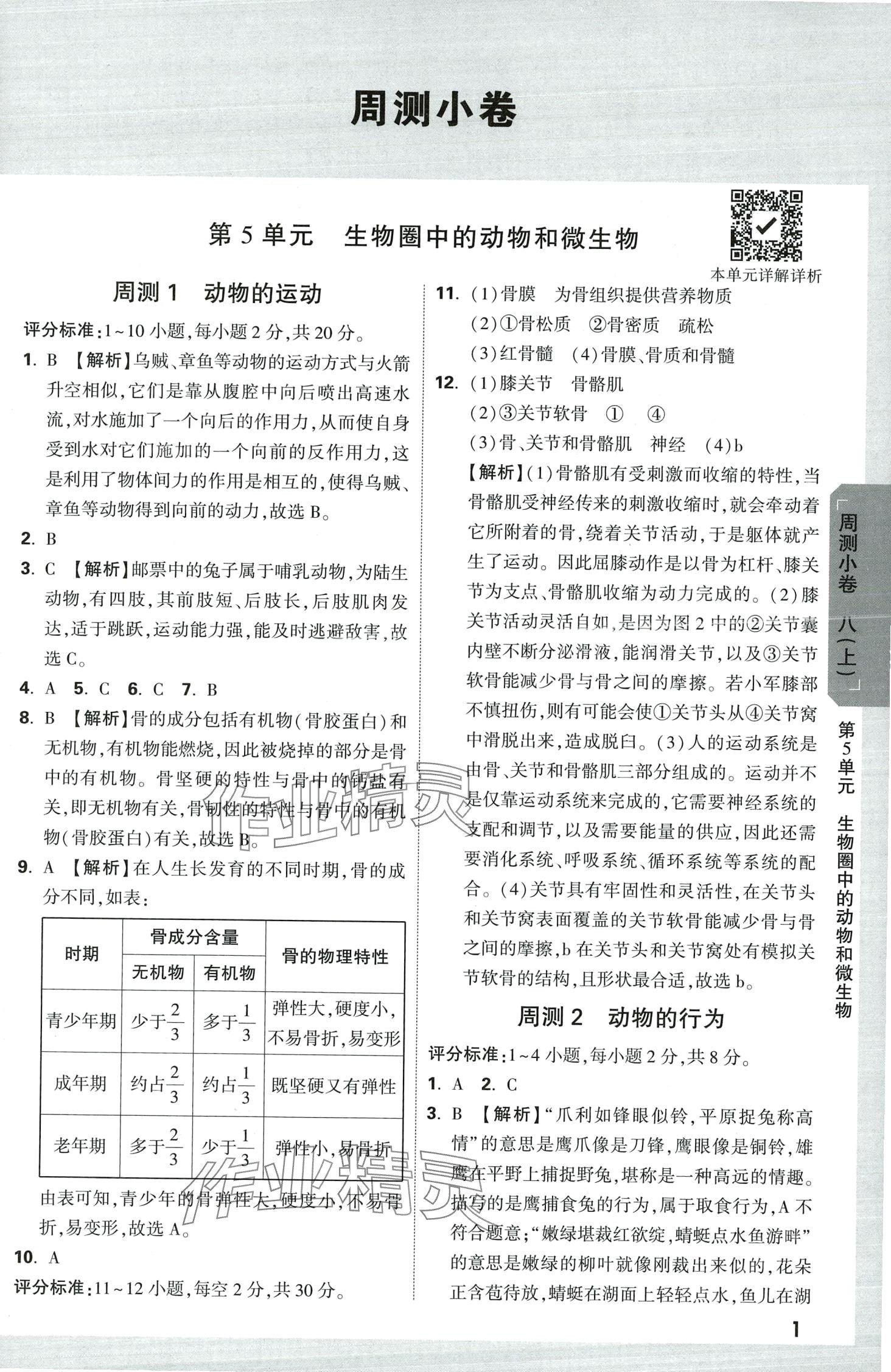 2024年萬唯中考大小卷八年級(jí)生物全一冊北師大版 第3頁