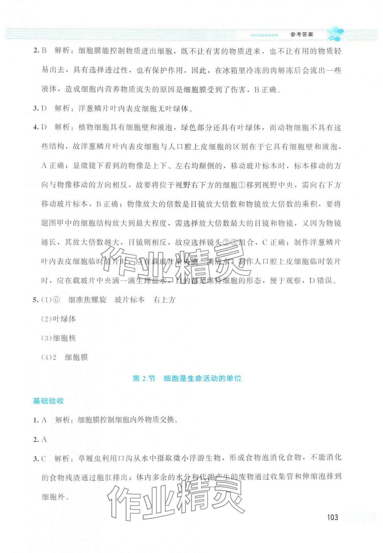 2025年課堂精練七年級生物上冊北師大版云南專版 第5頁