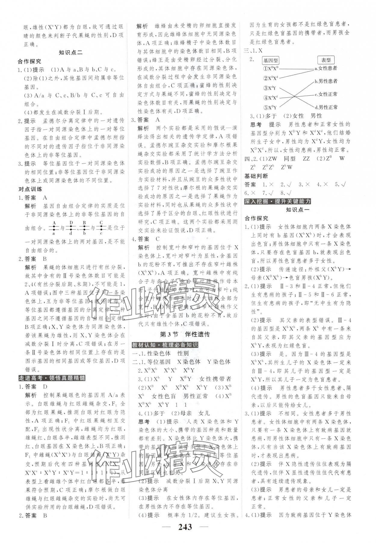 2025年新教材同步學案高考調研生物必修2人教版 第13頁