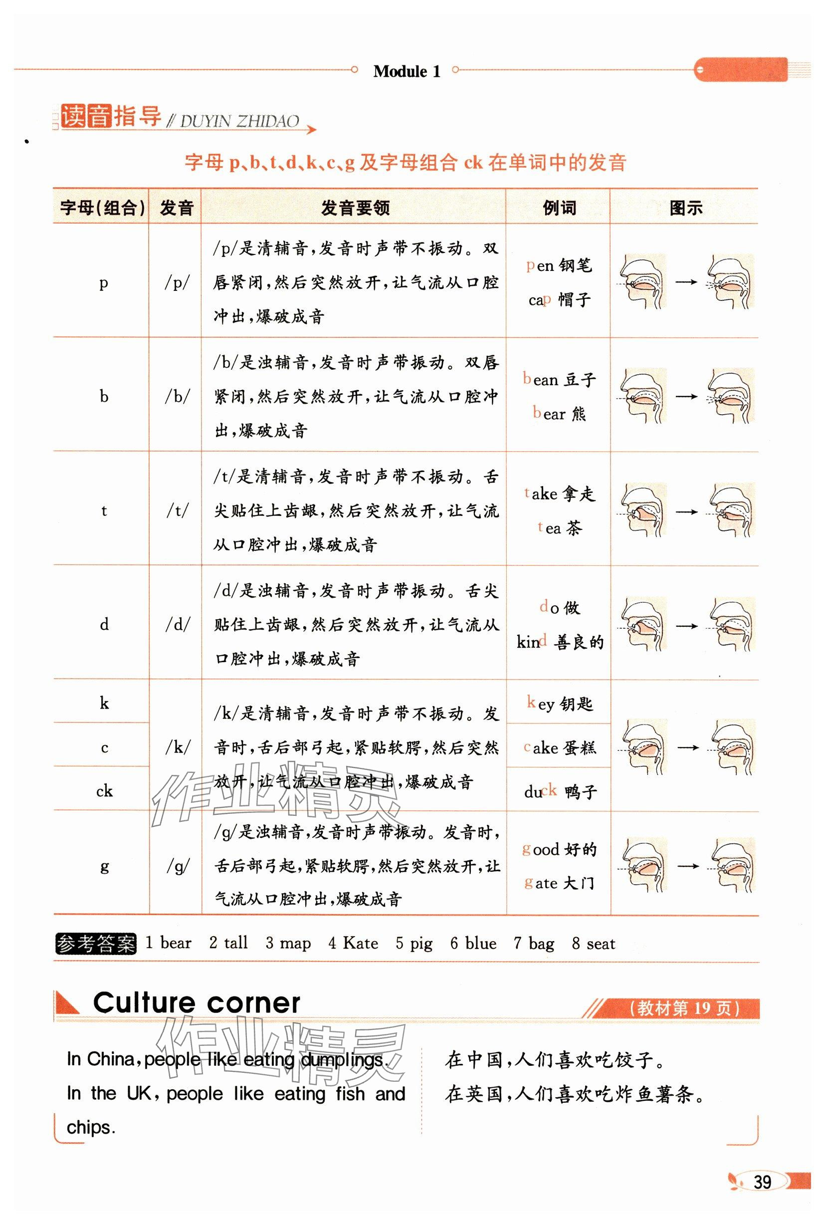 2024年教材課本六年級英語上冊滬教版 參考答案第39頁