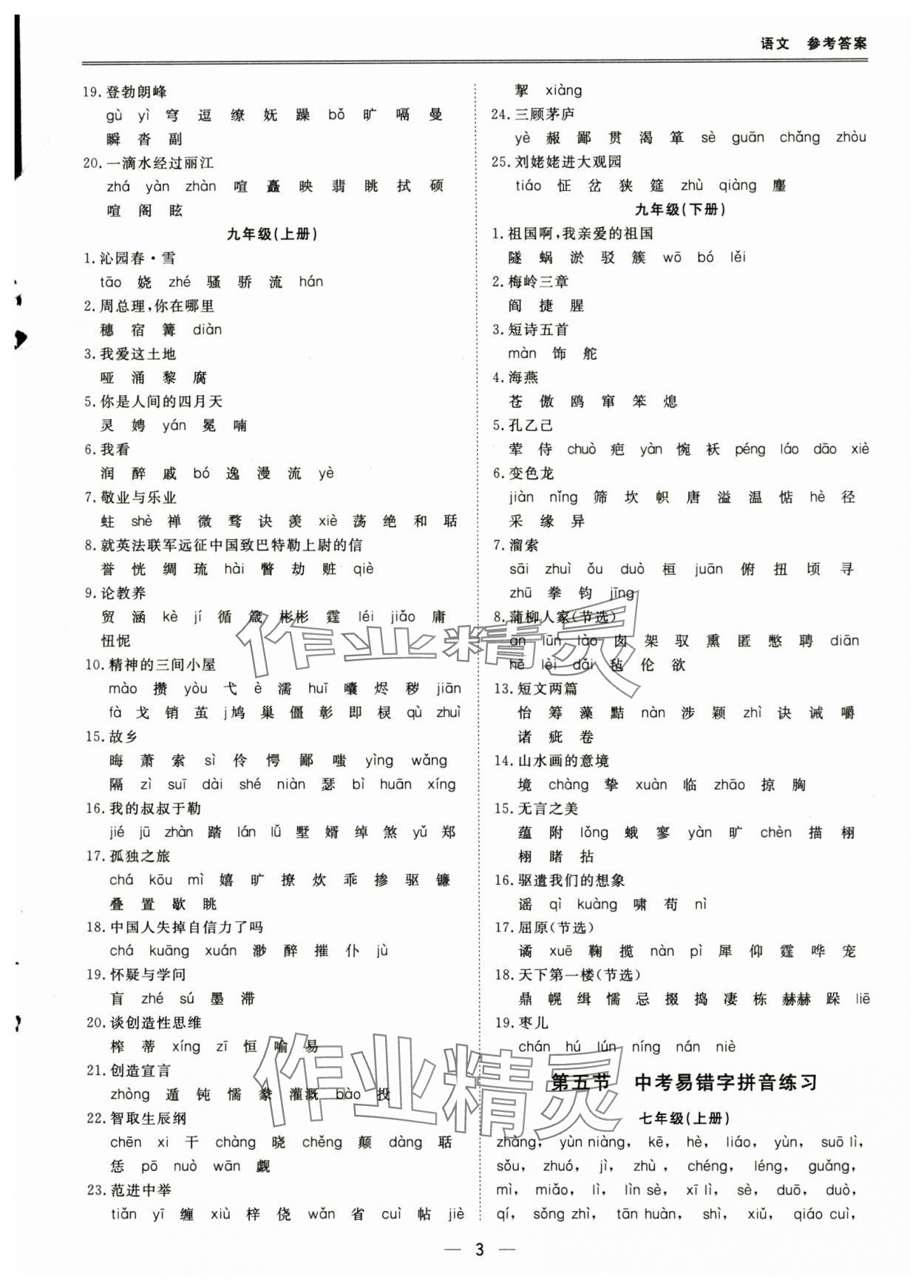 2025年新課標(biāo)中考寶典語文深圳專用 第3頁