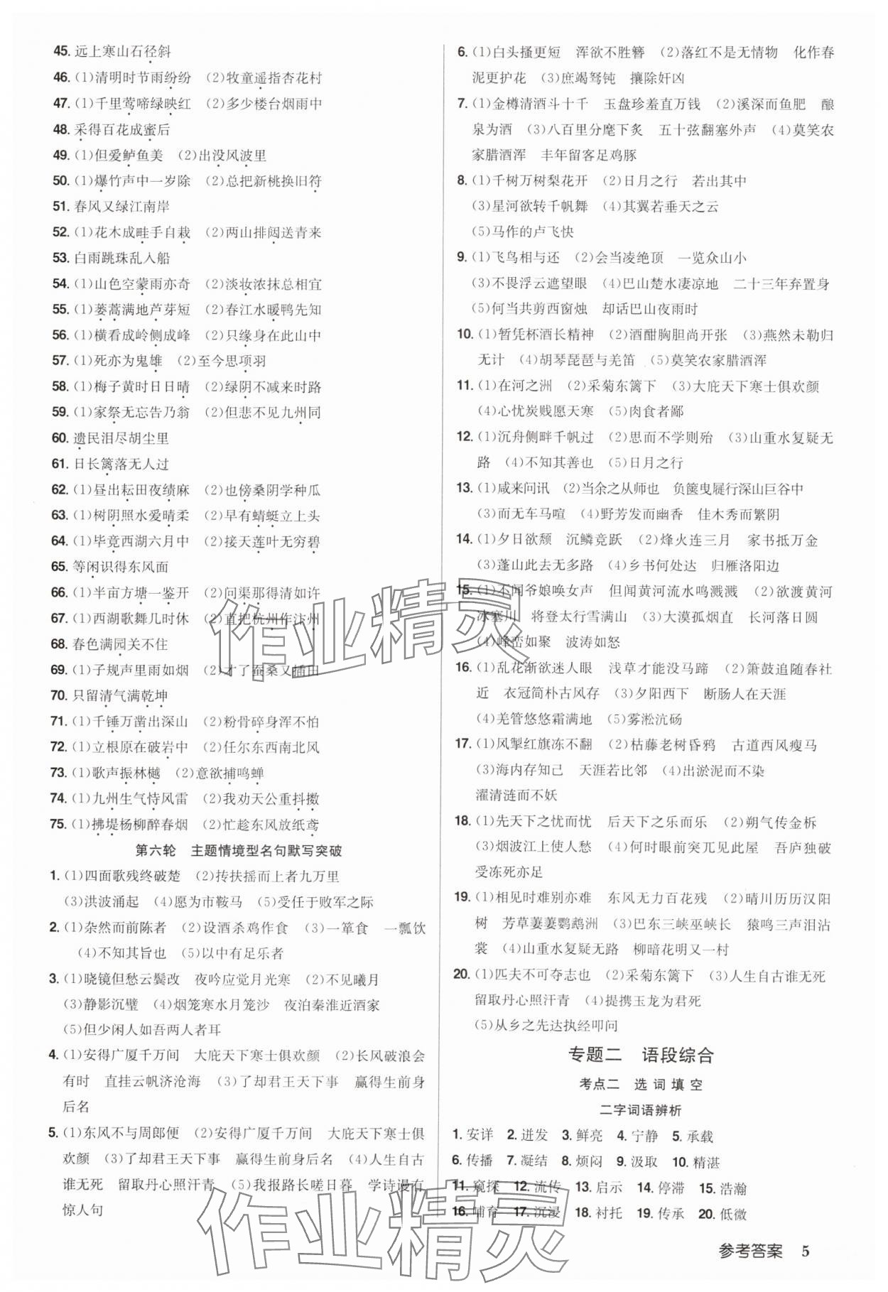 2025年啟東中學(xué)中考總復(fù)習(xí)語文徐州專版 參考答案第5頁