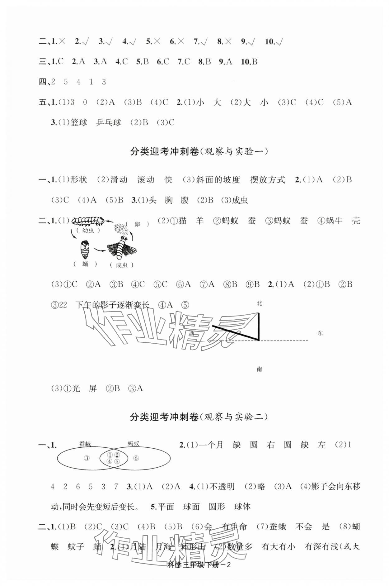 2025年浙江各地期末迎考卷三年級科學(xué)下冊教科版 第2頁